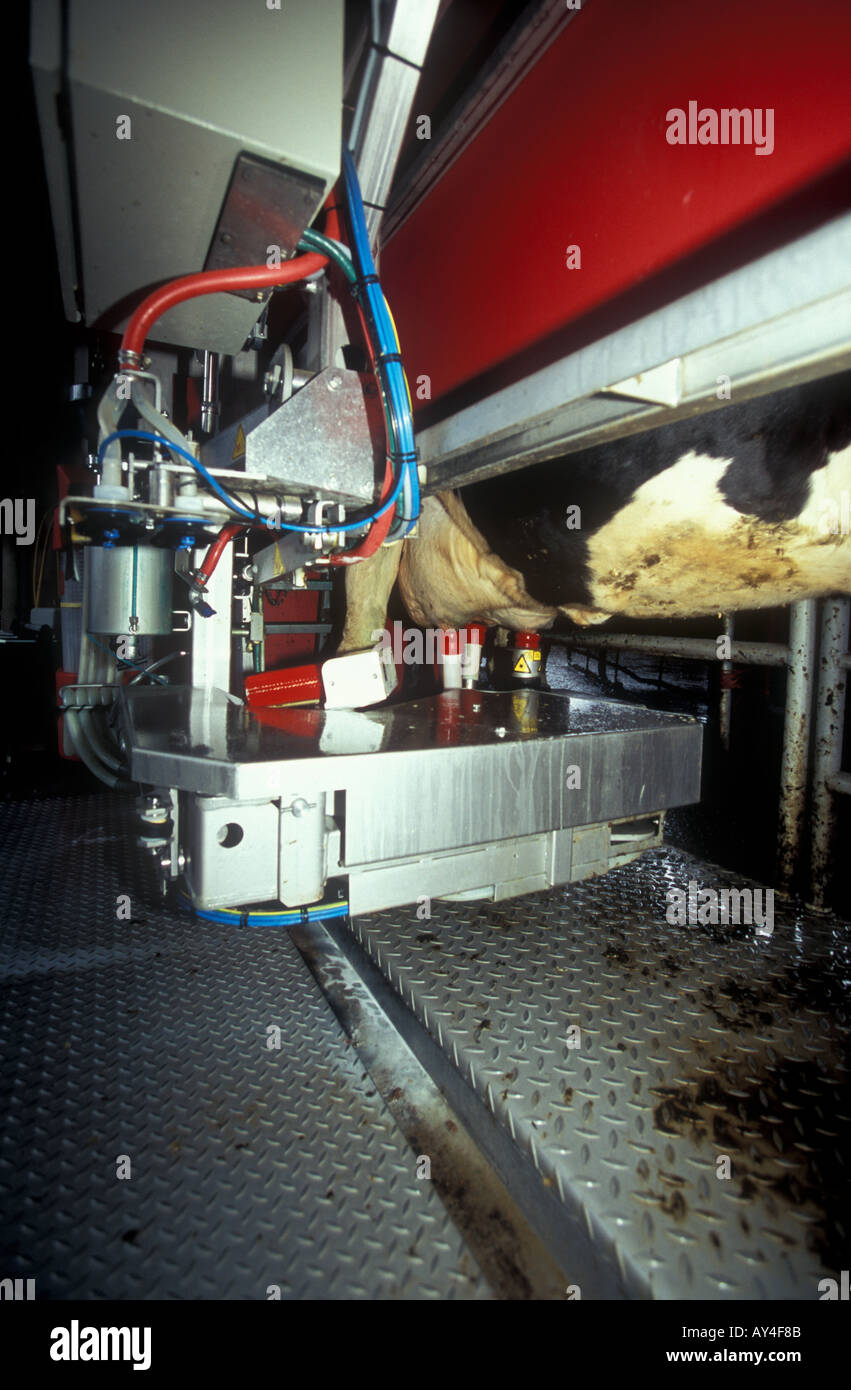 Automatic robot milking machine on a modern farm Stock Photo Alamy