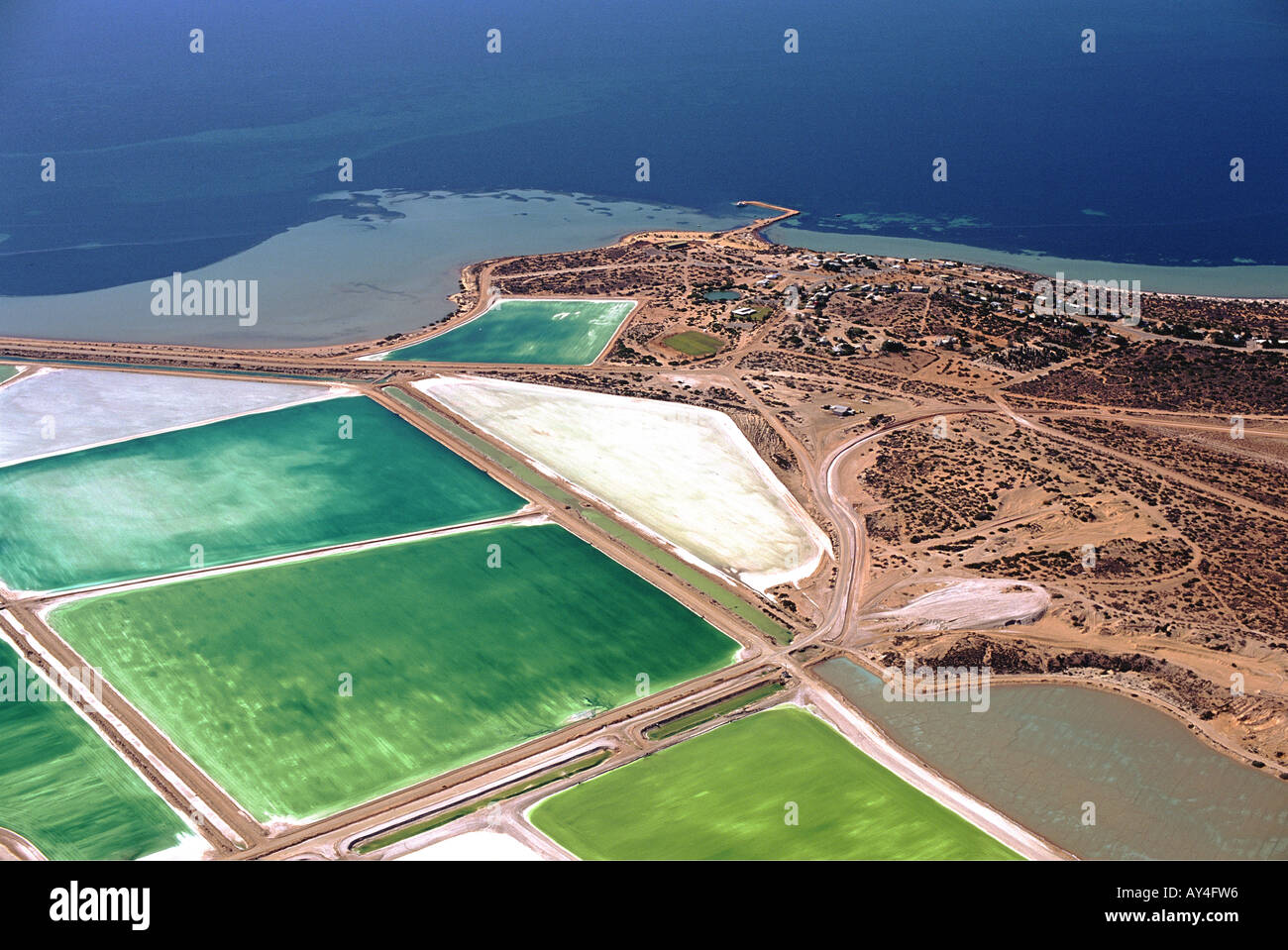 Australia Western Shark Bay Stock Photo Alamy