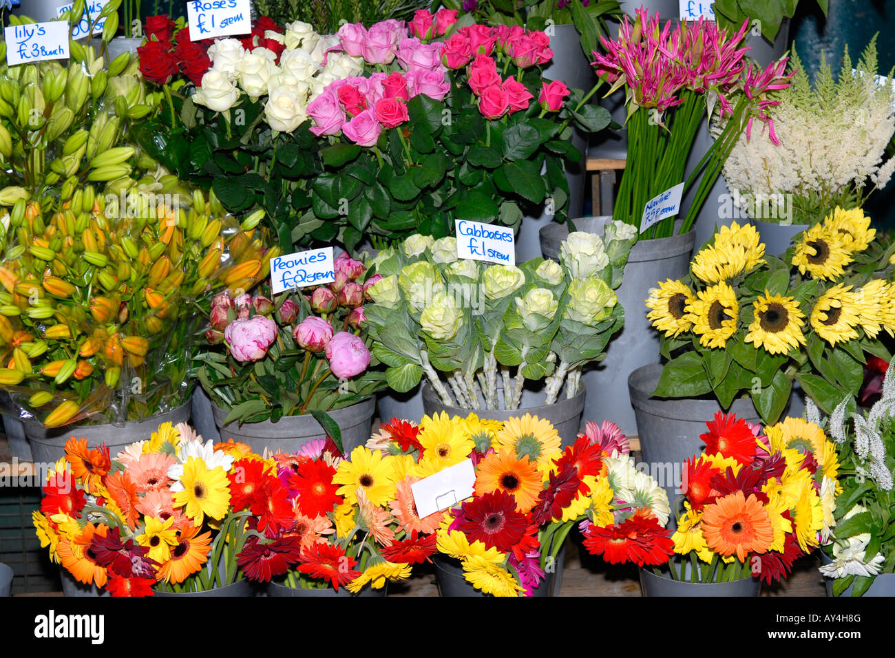 London Borough Market , fresh cut flowers stall display with lilies , roses , peonies , cabbages , sunflowers & navines Stock Photo
