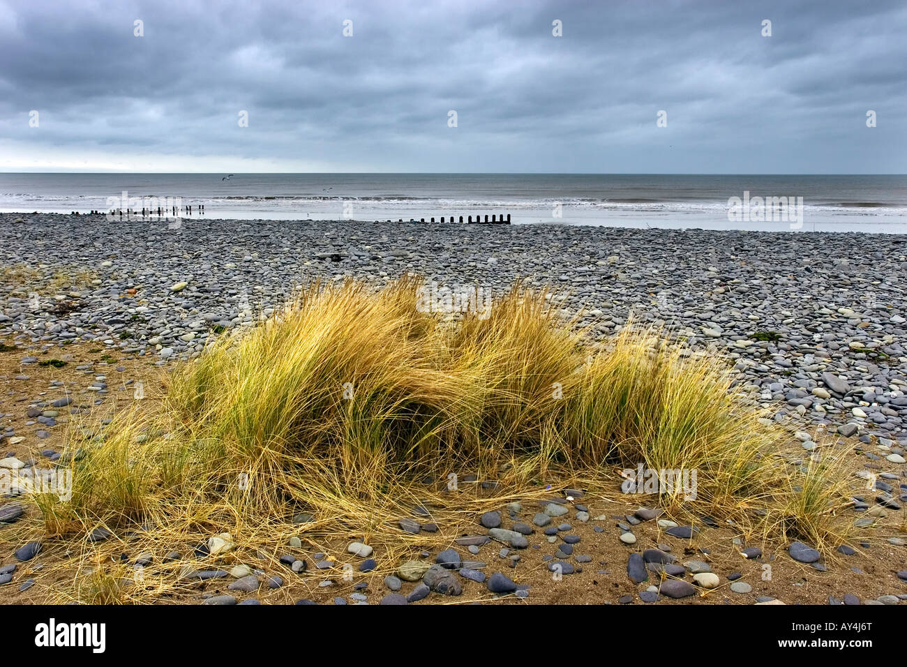 Borth beach, near Aberystwyth, Wales, UK Stock Photo Alamy