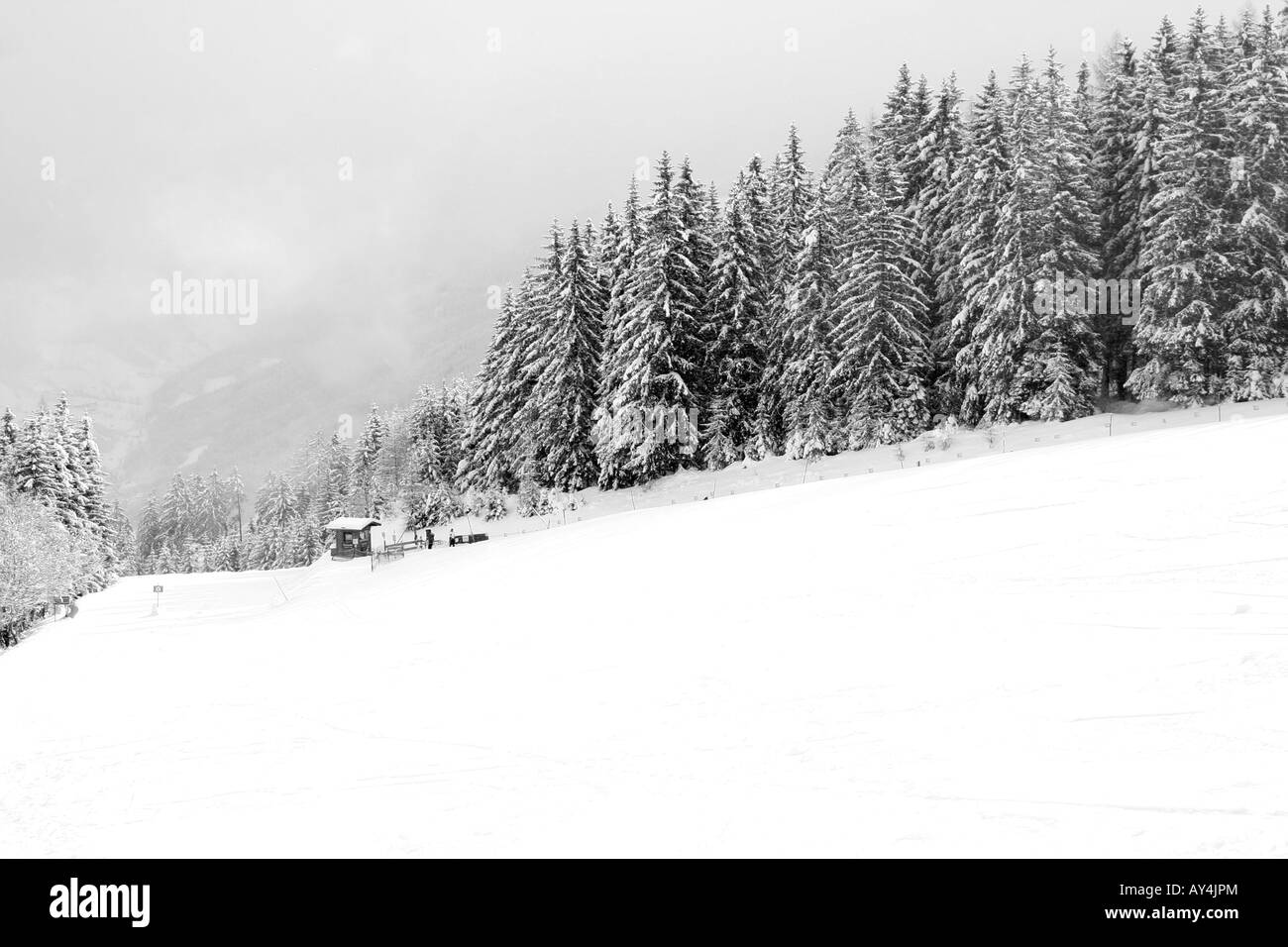 Alpine forest and snowy ski slopes, Zell am Zee, Austria. Stock Photo
