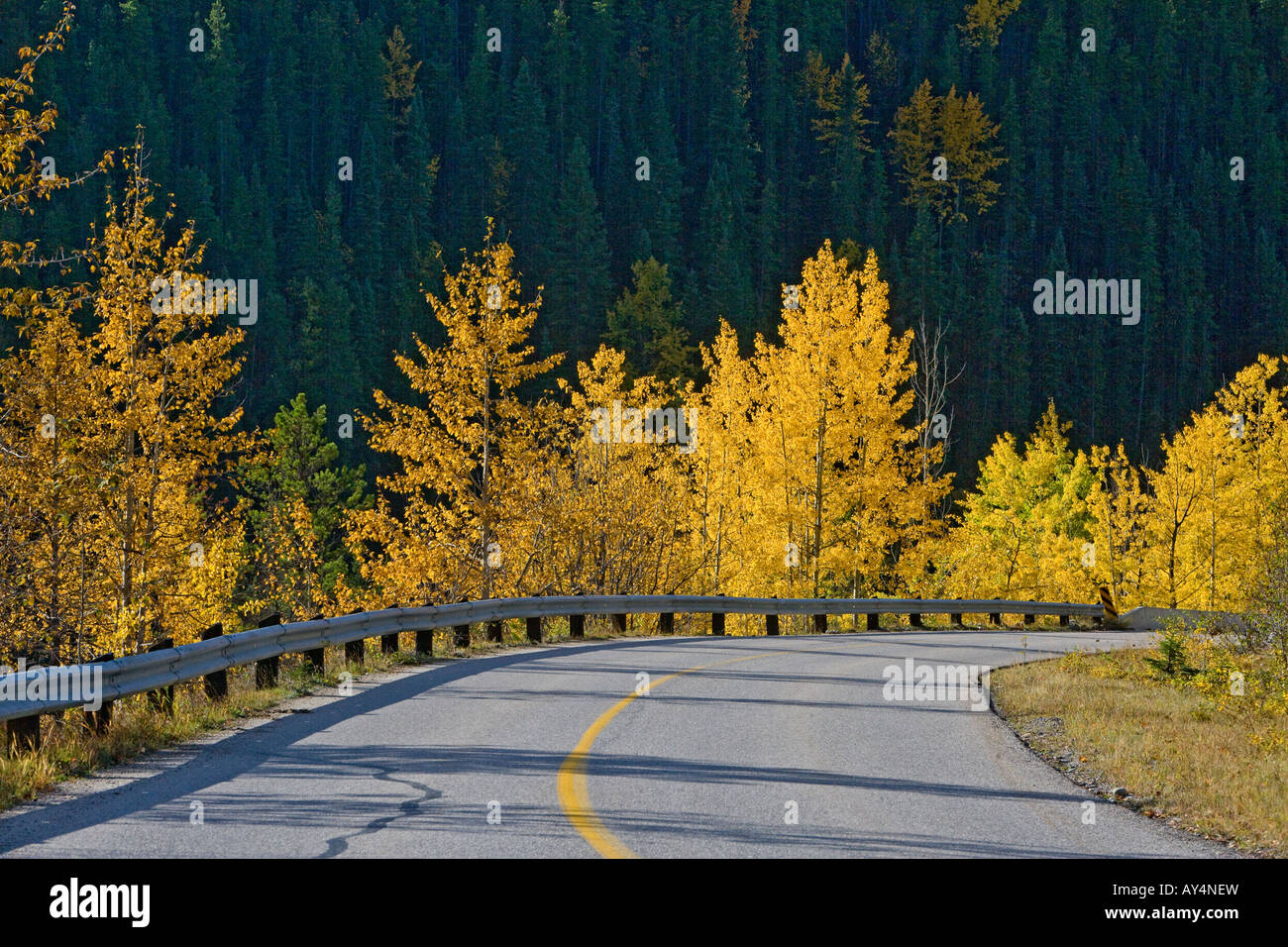Maligne Lake Road in Jasper National Park, Alberta, Canada Stock Photo