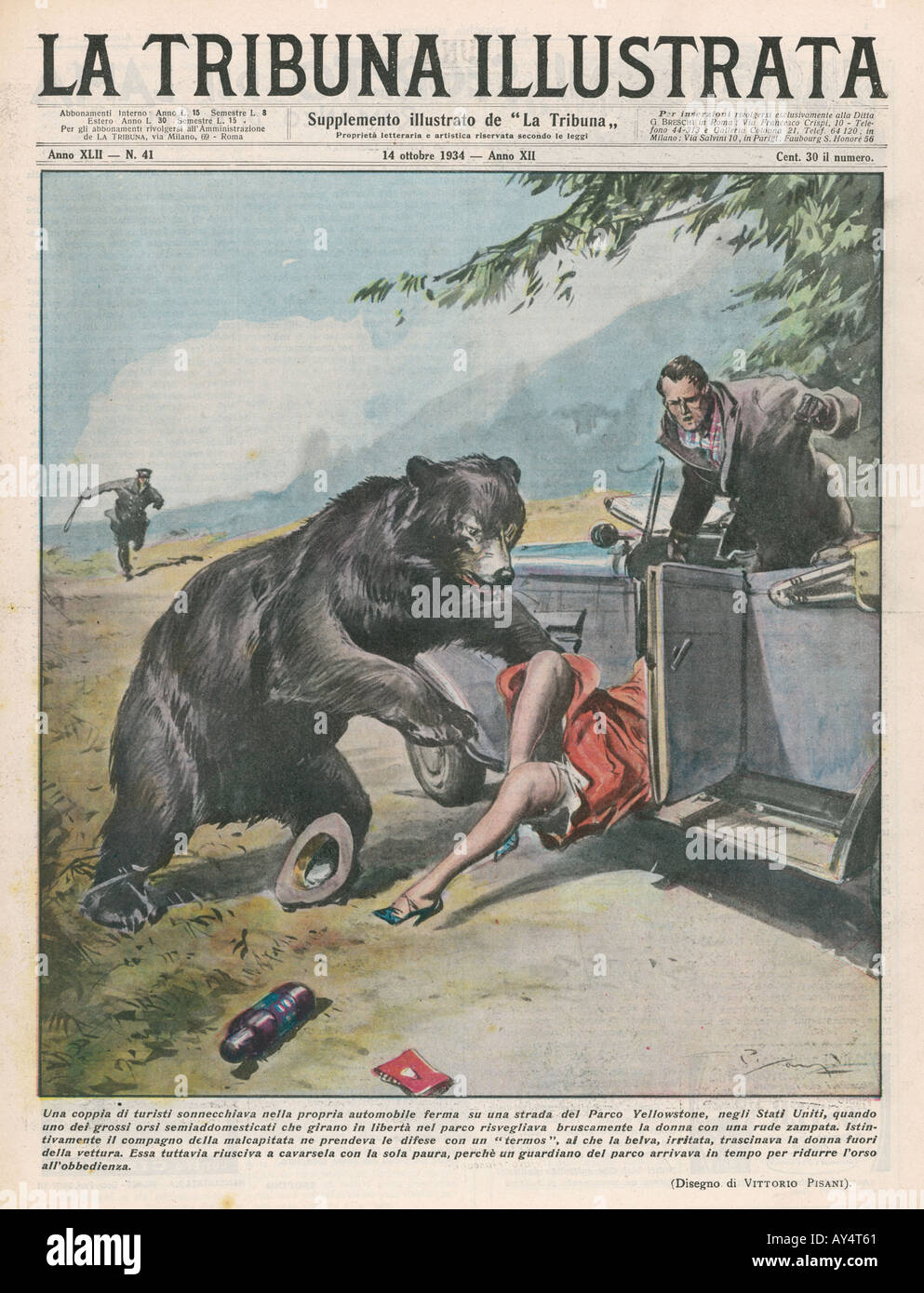 Yellowstone Bear Attacks Stock Photo - Alamy