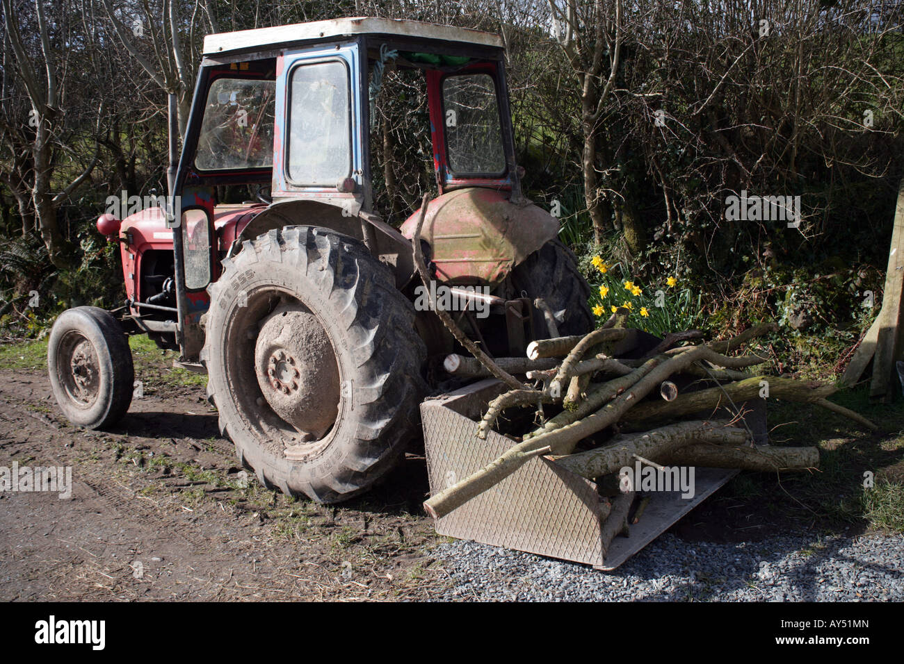 tractor with load of firewood Stock Photo