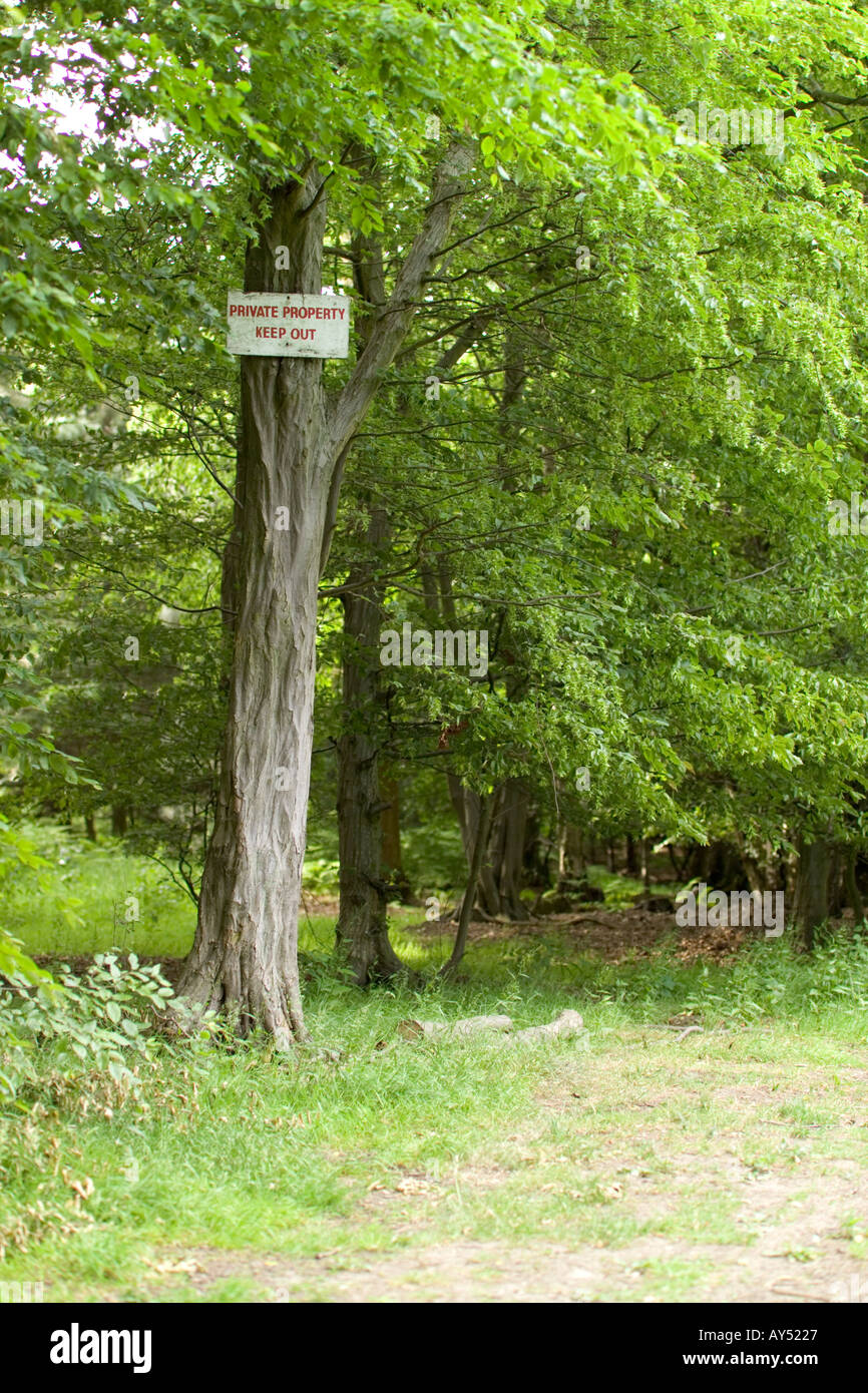 Private woodland with keep out sign Stock Photo
