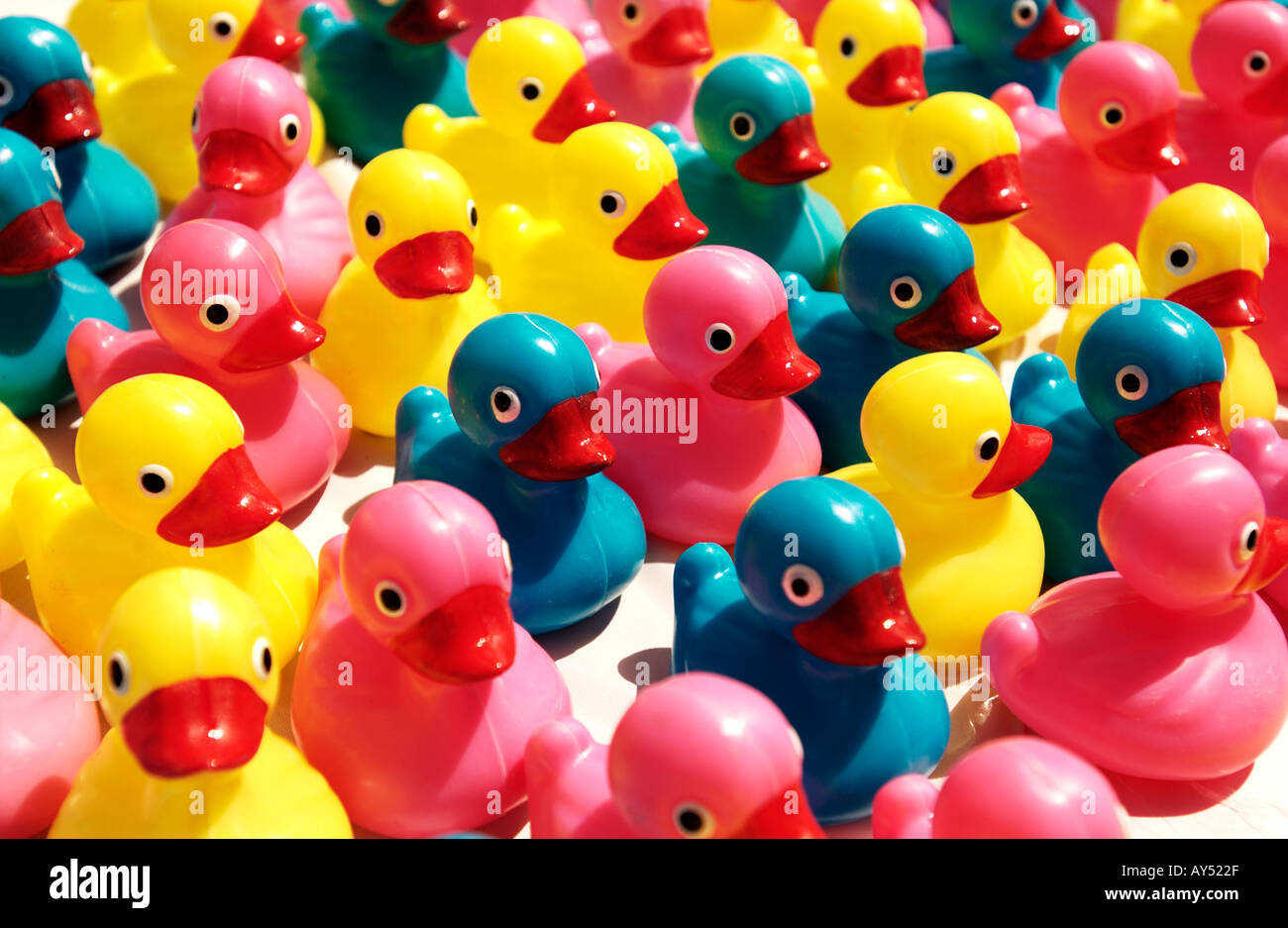 Colorful plastic ducks Stock Photo
