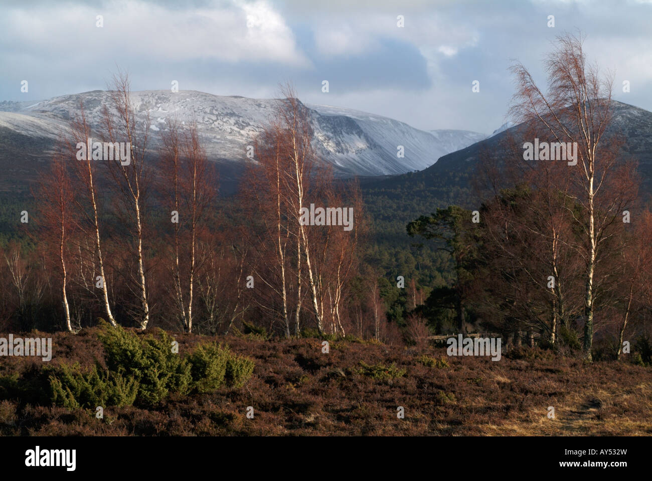 The Rothiemurchus Forest and Cairngorm Mountains from Whitewell near Inverdruie, Highland Stock Photo