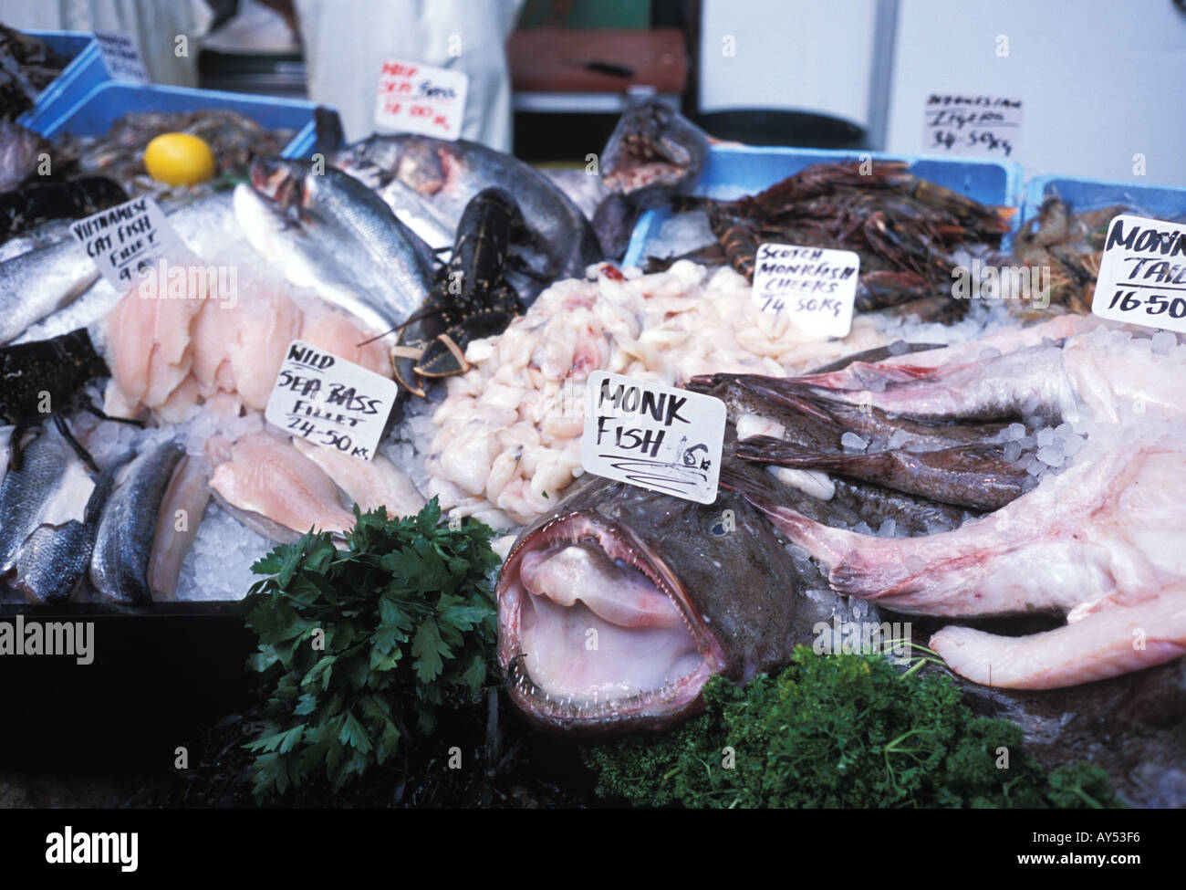 Monk Fish and Sea Bass at the High Borough Market London England Stock Photo