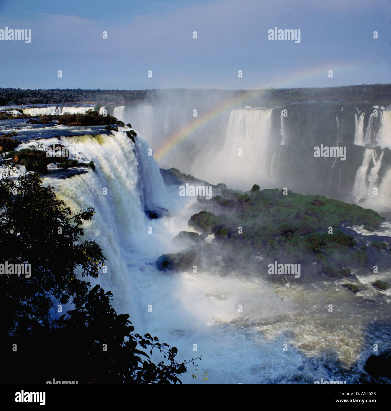 My Image 7