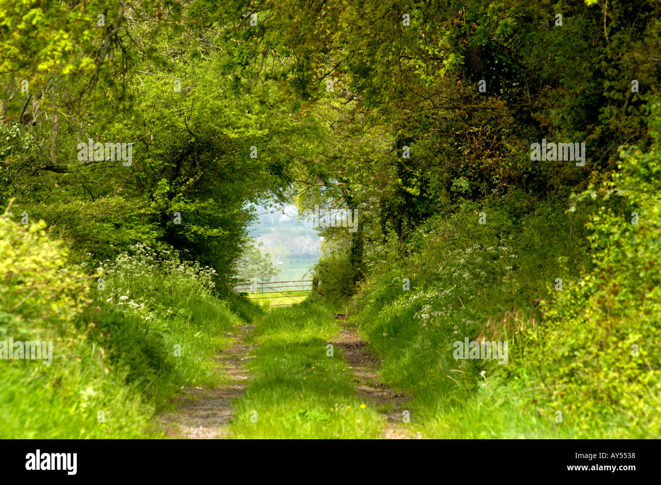 Pathway track hi-res stock photography and images - Alamy