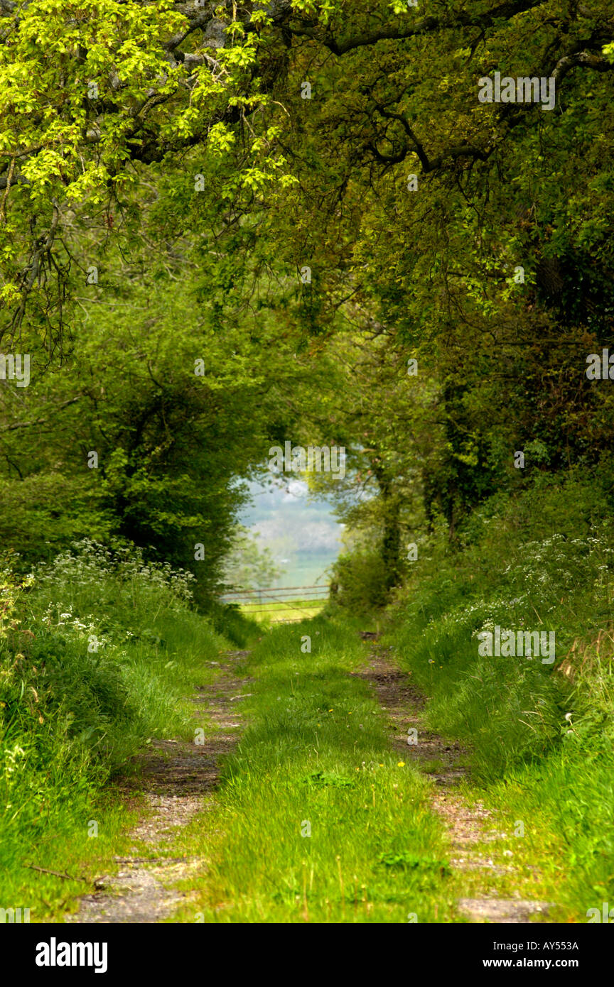 Pathway track hi-res stock photography and images - Alamy