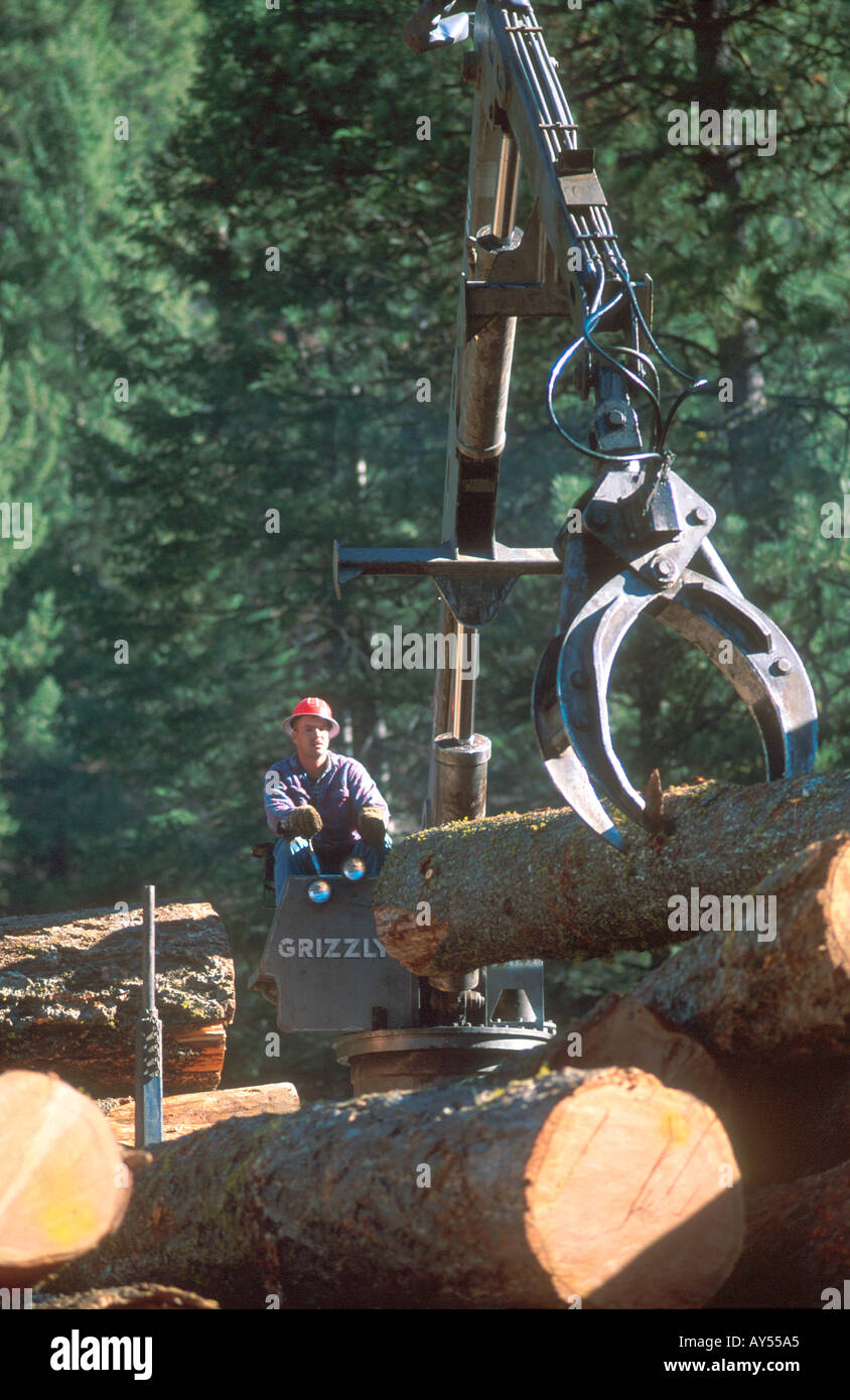 Loading logs in the Boise National Forest Idaho  Stock Photo