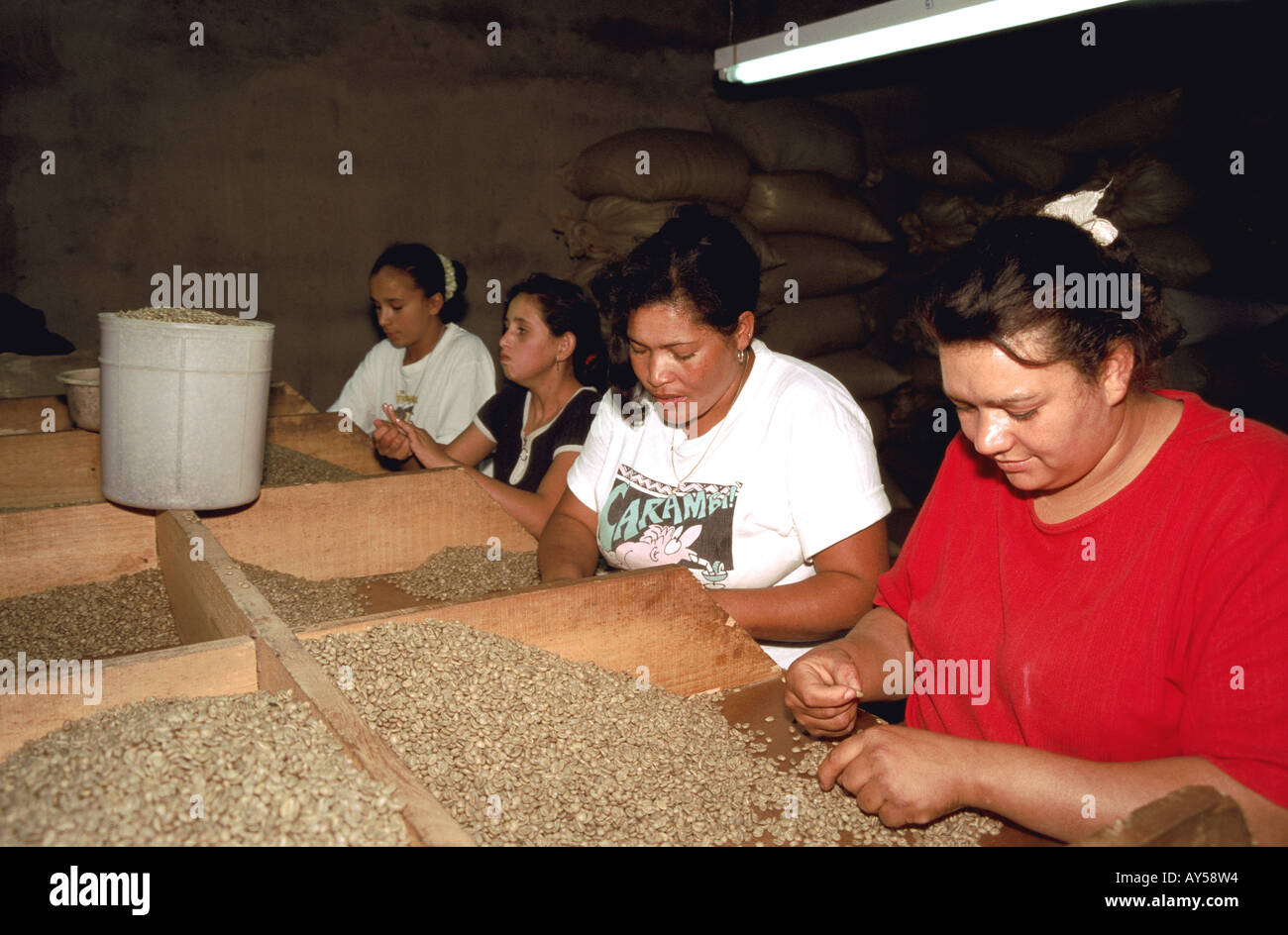 Dominican Republic Jarabacoa Coffee Industry Stock Photo Alamy