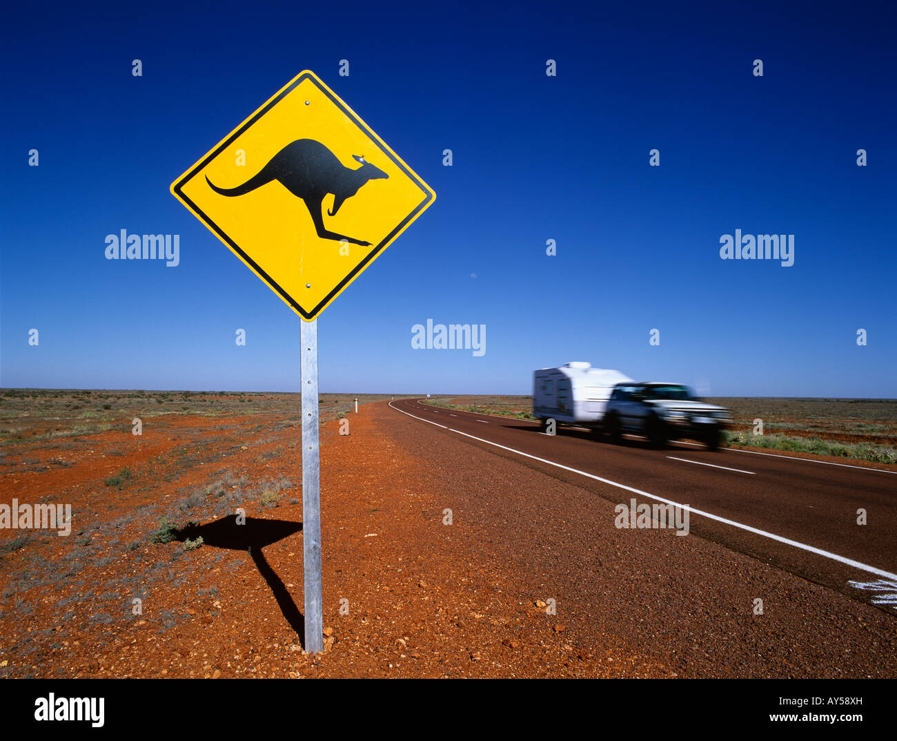 kangaroo Road sign warning of Kangaroos crossing in the Stuart Highway near Coober Pedy South Australia Australia Stock Photo