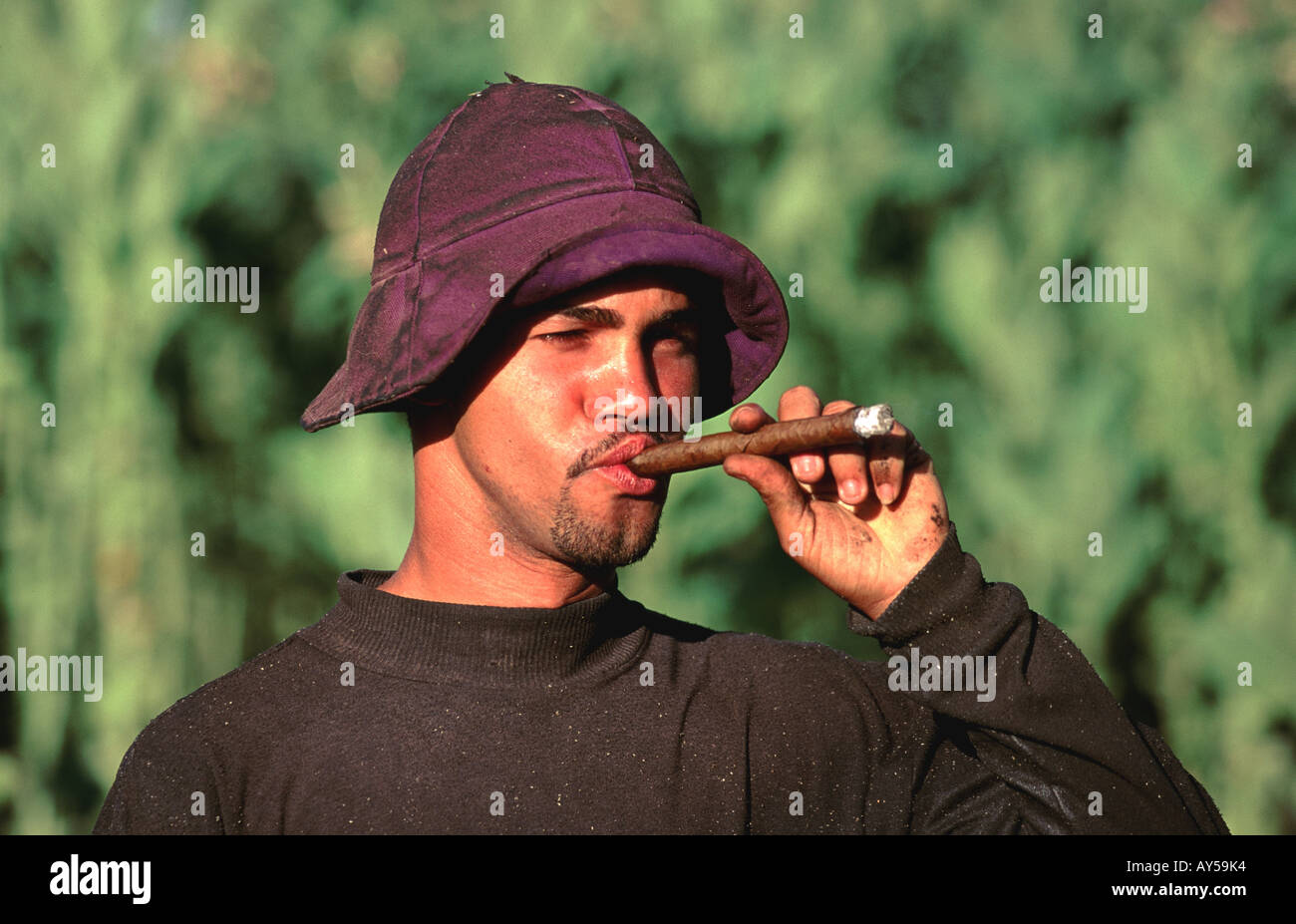 Dominican Republic Cigar Smoker Stock Photo Alamy