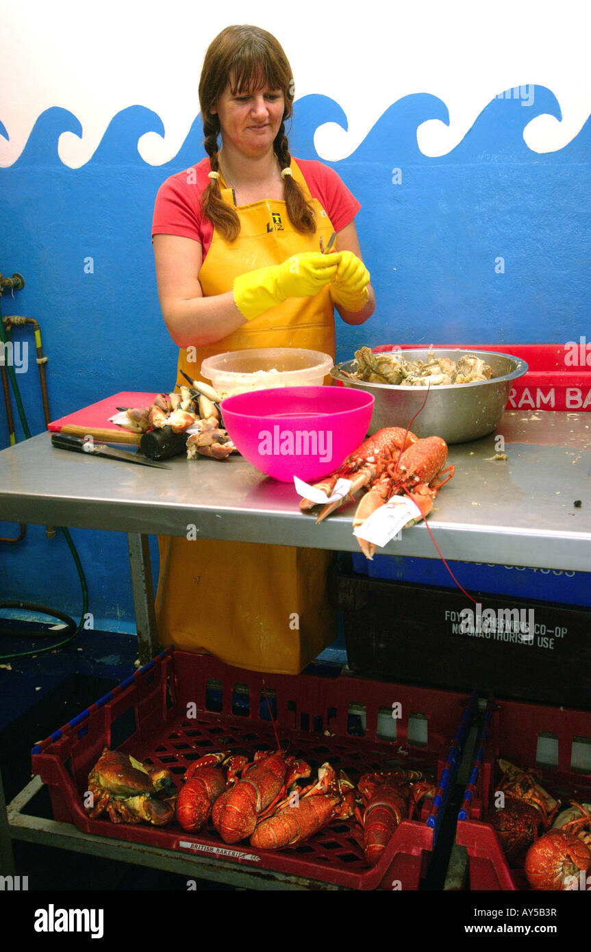 Cornwall fresh fish sold in the harbour of Port Isaac Stock Photo Alamy