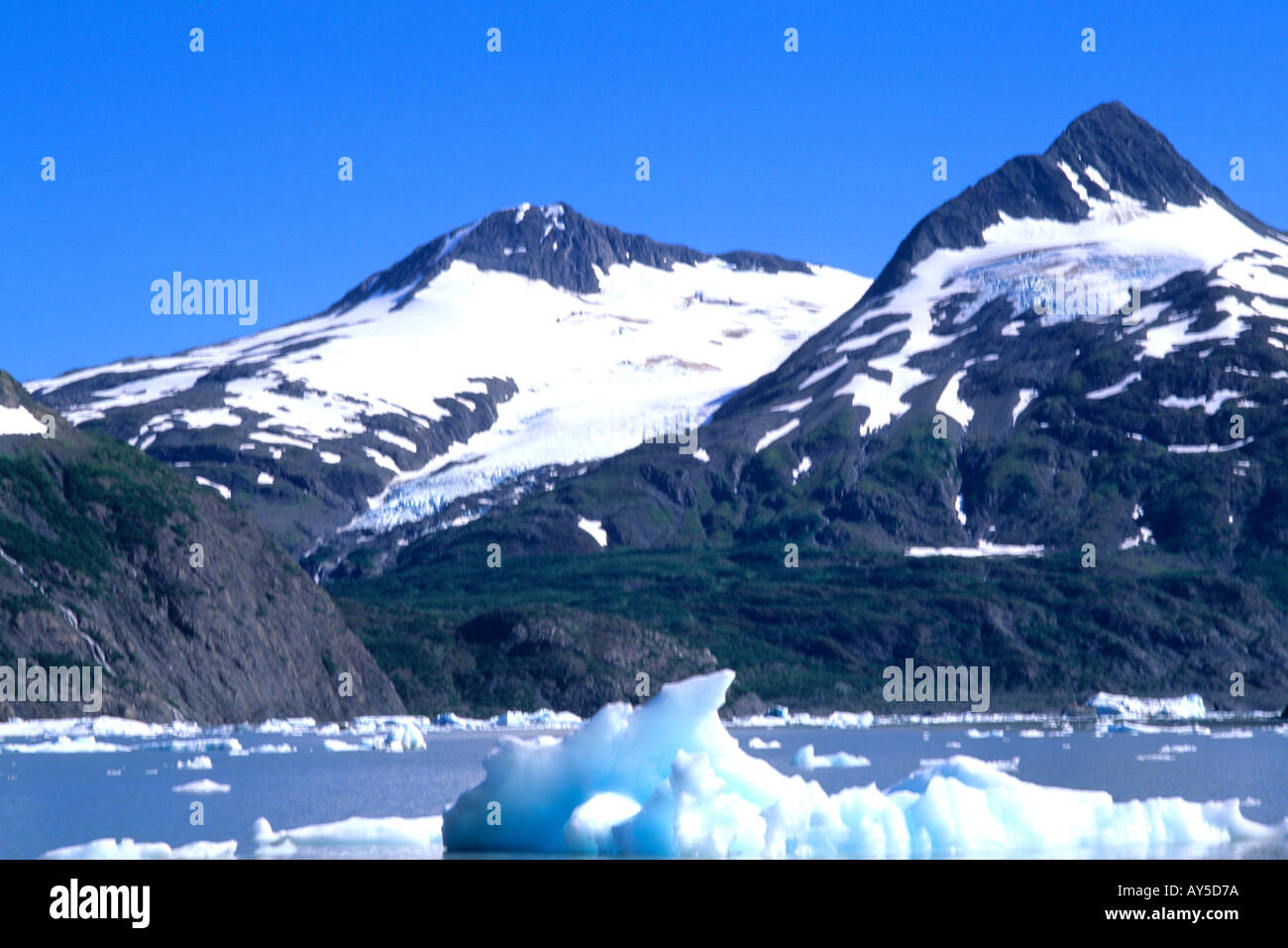 Wonderful Blue Icebergs and Glaciers Portage Glacier Alaska Stock Photo ...