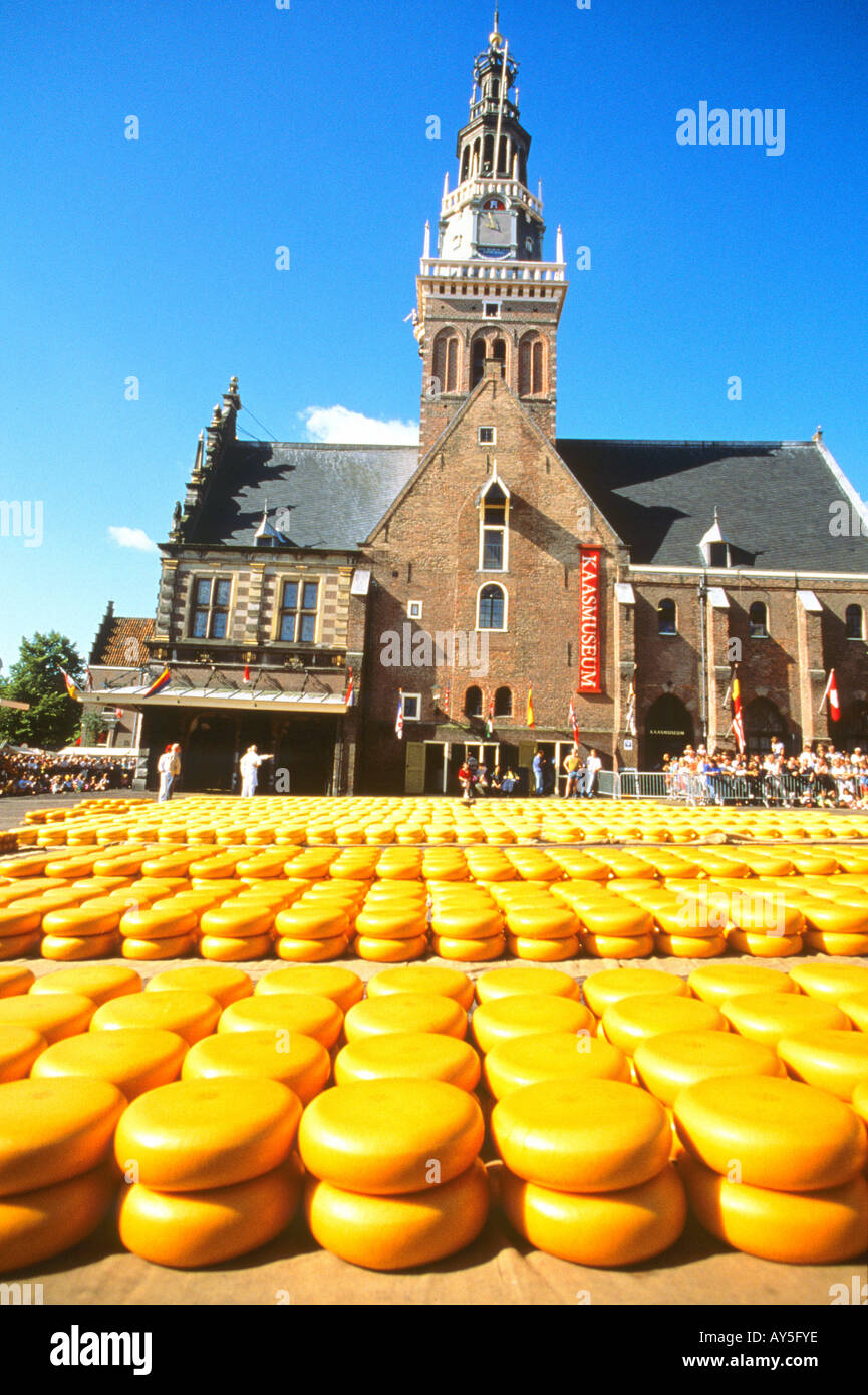 Pays Bas Amsterdam Alkmaar Marché aux fromages Stock Photo - Alamy