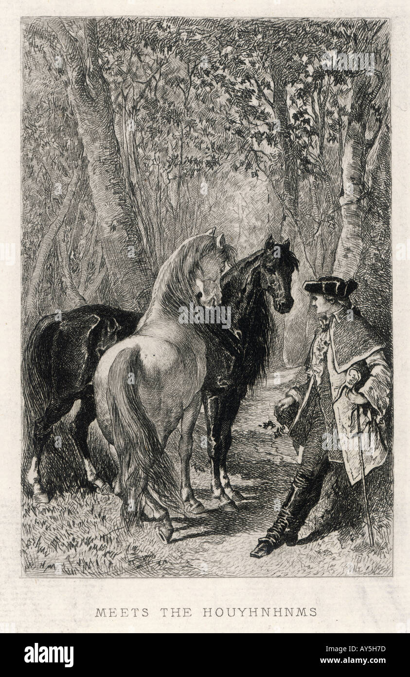 Gulliver Houyhnhnm Stock Photo Alamy