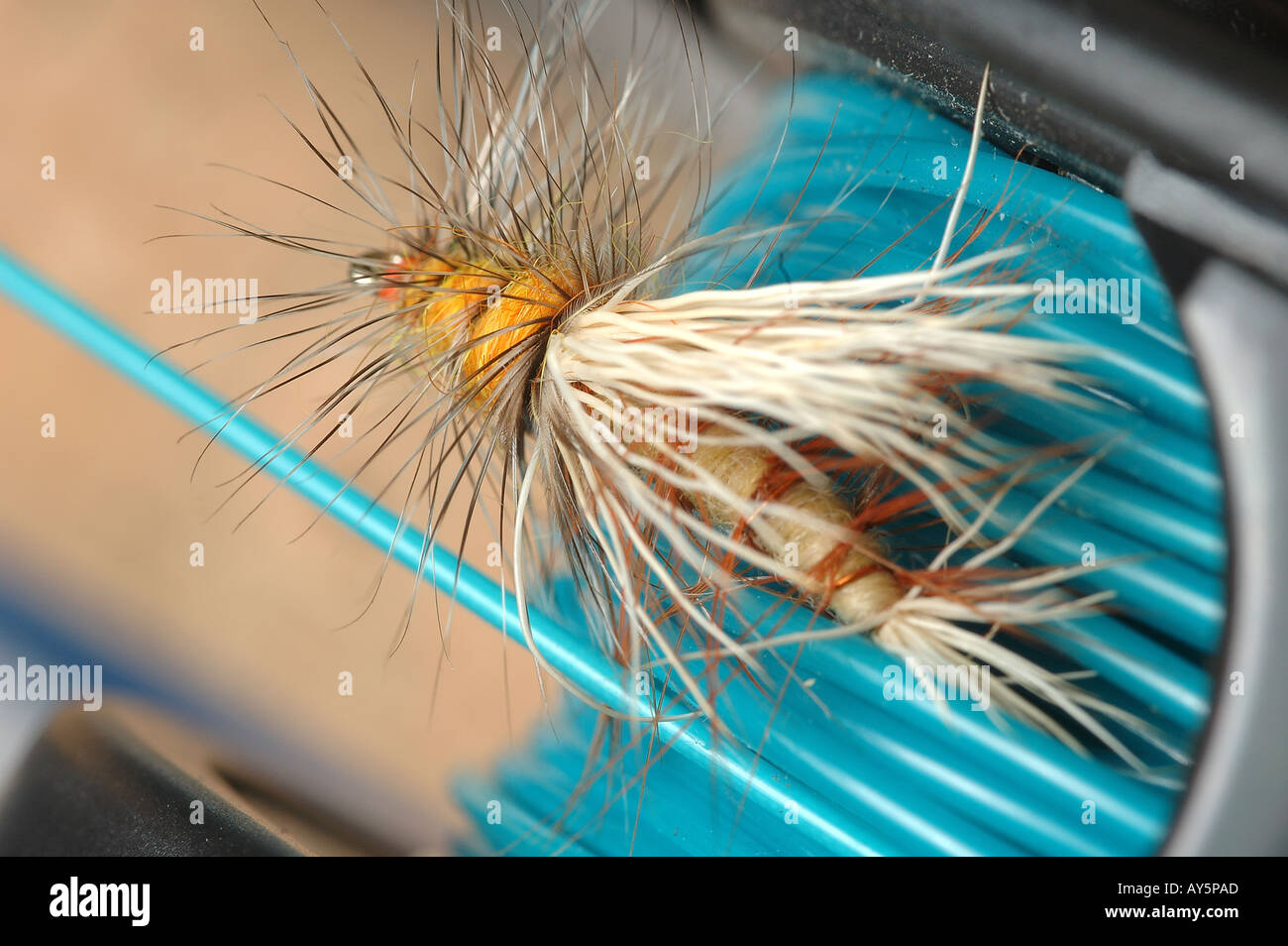 Fly Fishing lure and Real Stock Photo Alamy