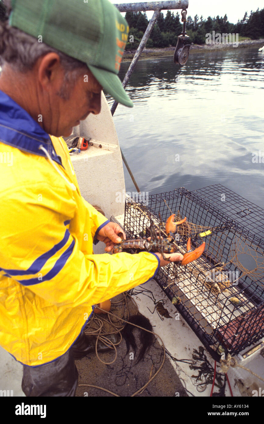 Lobster Fishermen in Maine Stock Photo Alamy