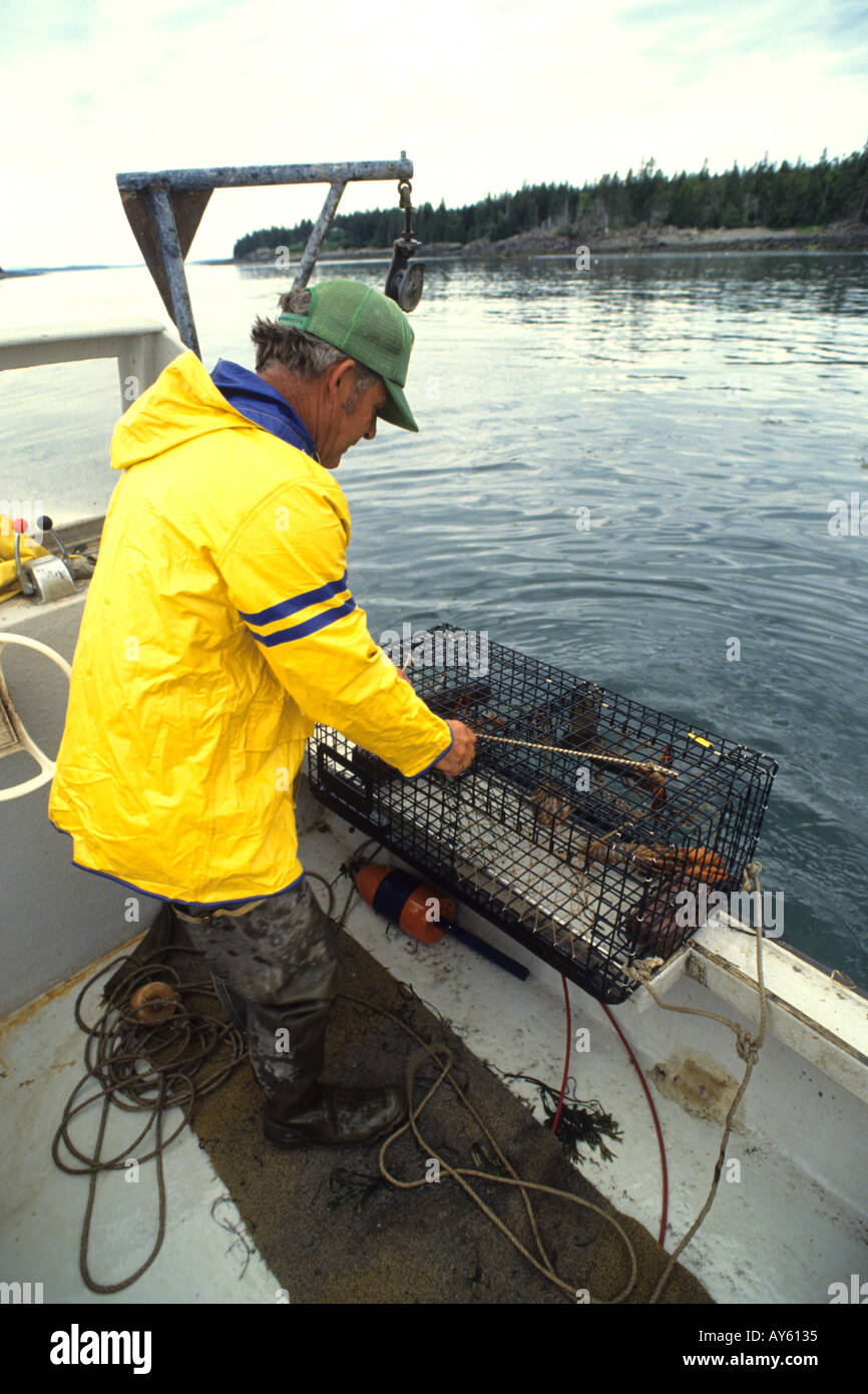 Lobster Fishermen in Maine Stock Photo Alamy