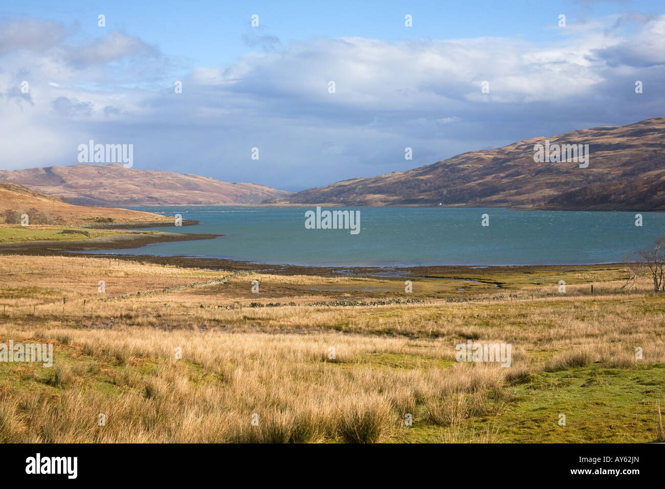 Looking down Loch Spelve Isle of Mull Stock Photo - Alamy