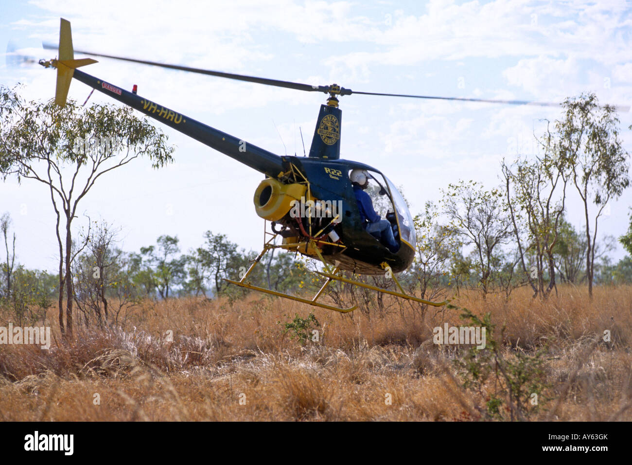 Helicopter mustering cattle hires stock photography and images Alamy