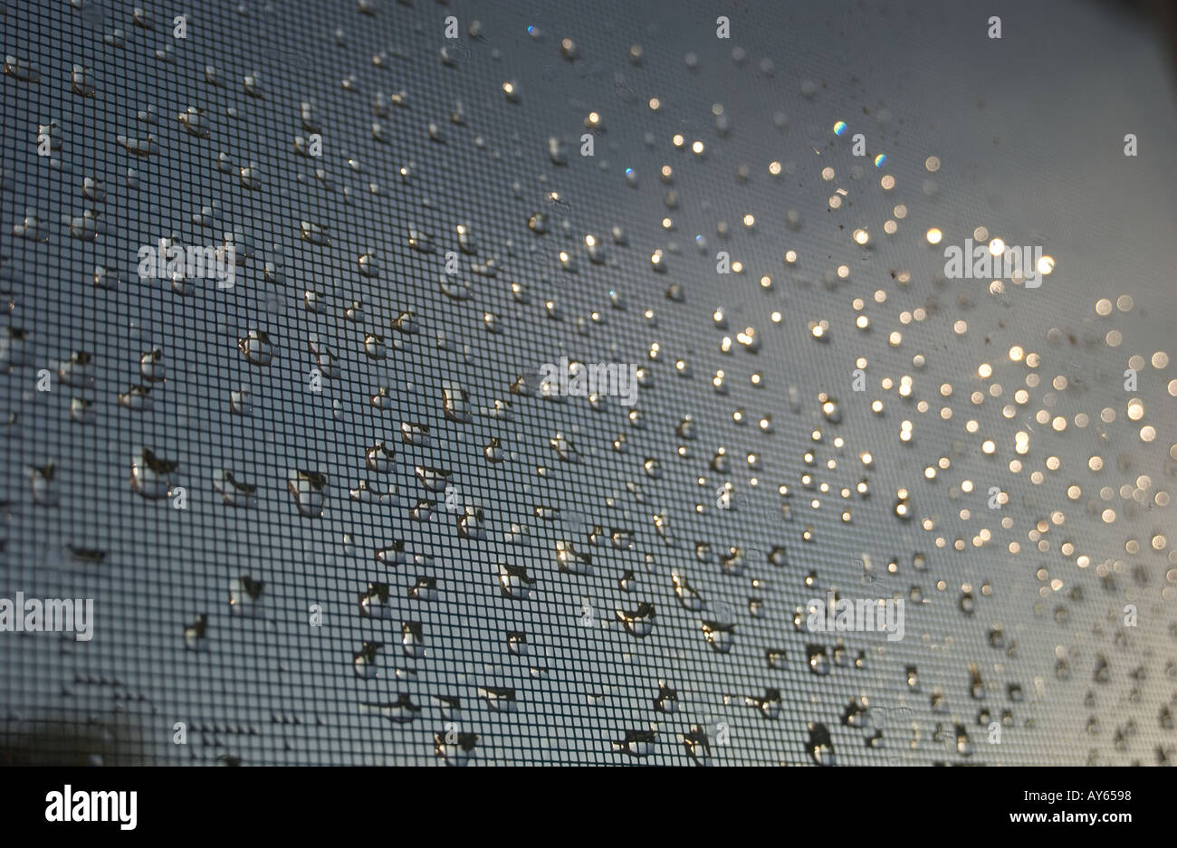 raindrops on window screen Stock Photo