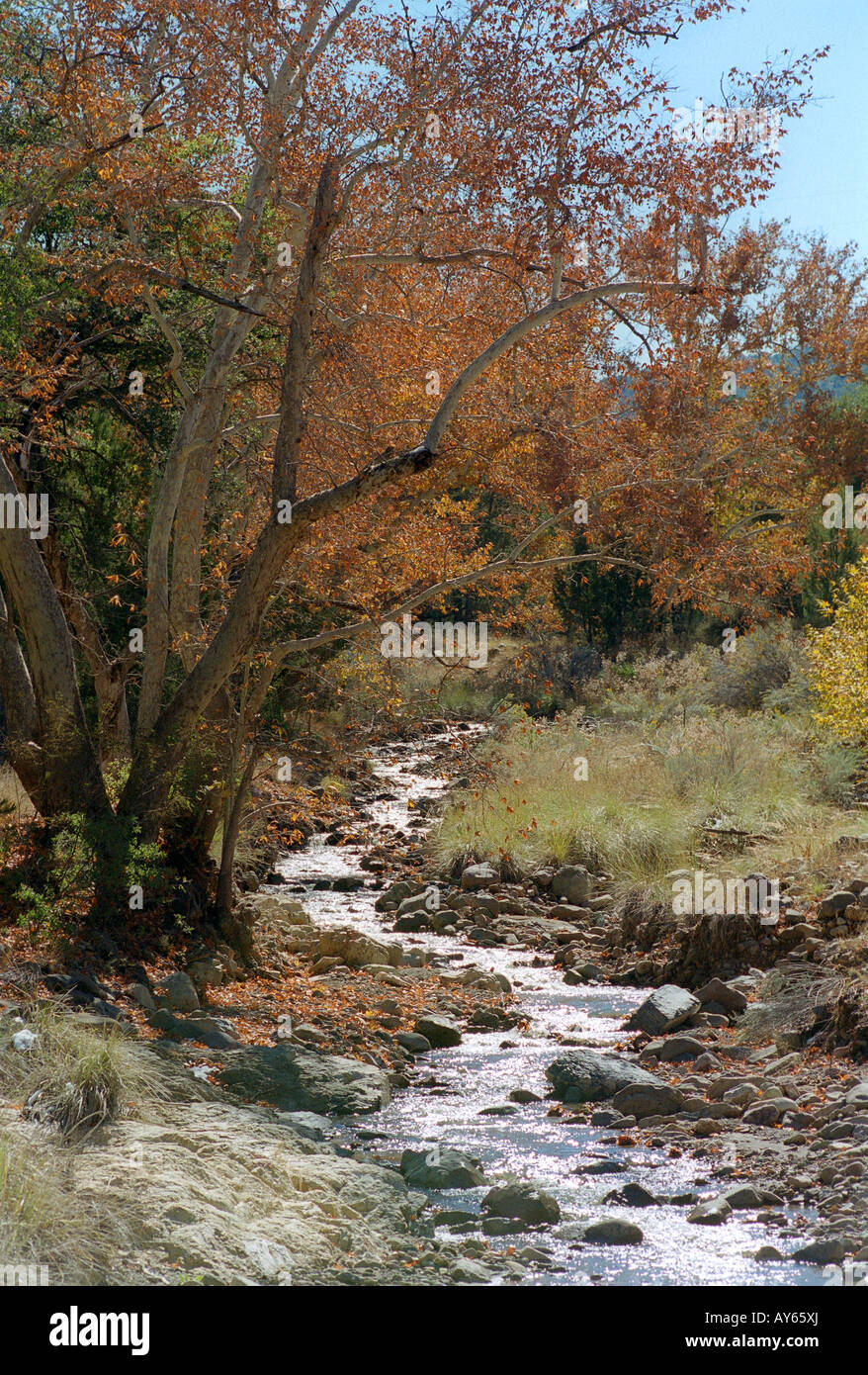 October 2000 October 2000 Paradise Arizona USA Photo C Simon Grosset Stock Photo - Alamy