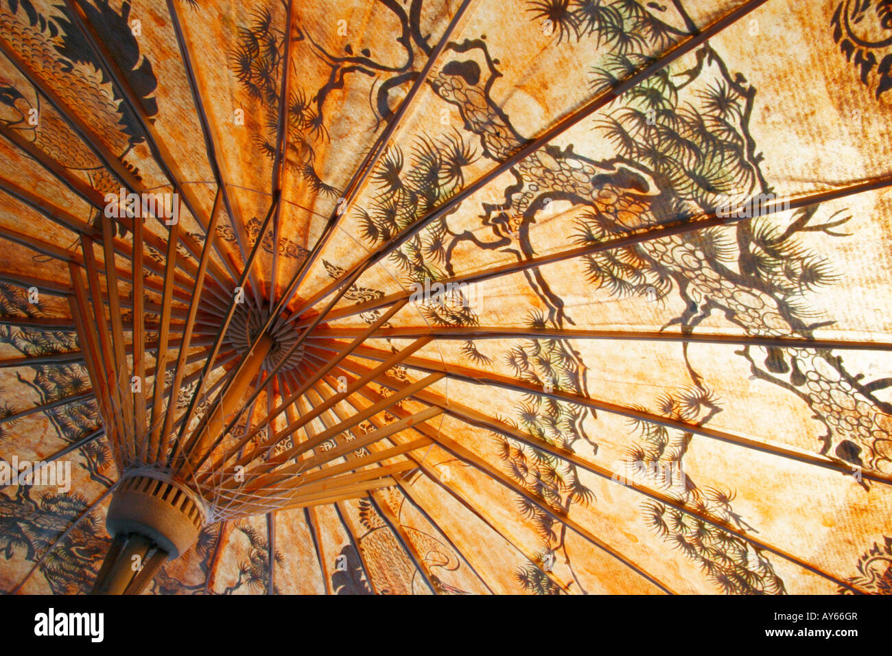 Rusteloos raket revolutie Oriental parasol hi-res stock photography and images - Alamy