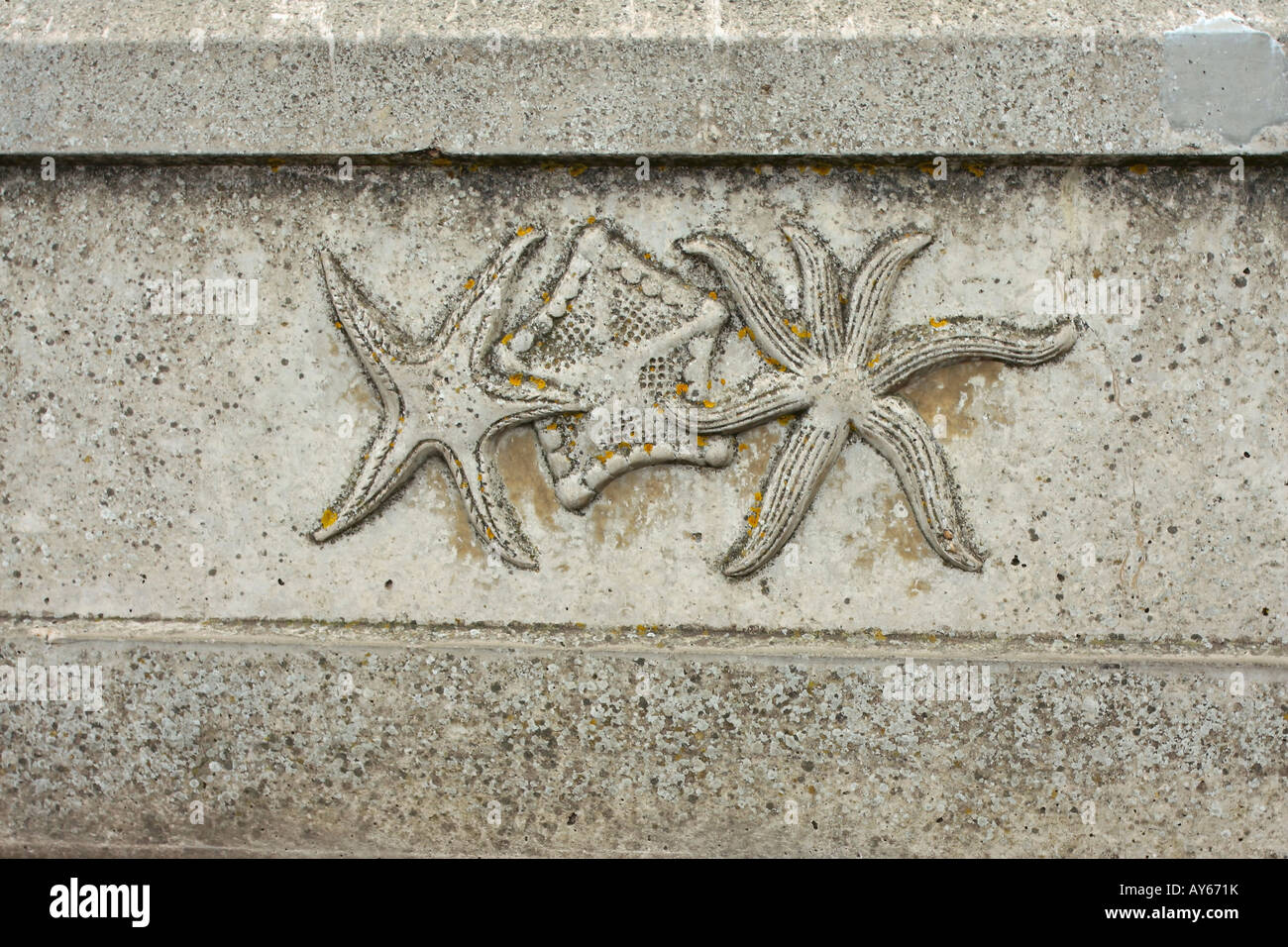 Carved stone panel on wall with starfish motif Stock Photo