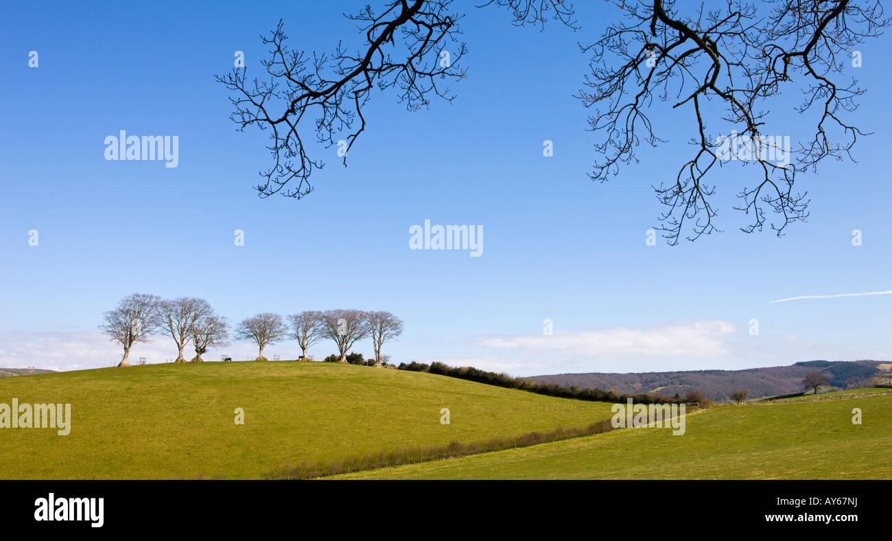 Exmoor countryside near Luccombe Stock Photo