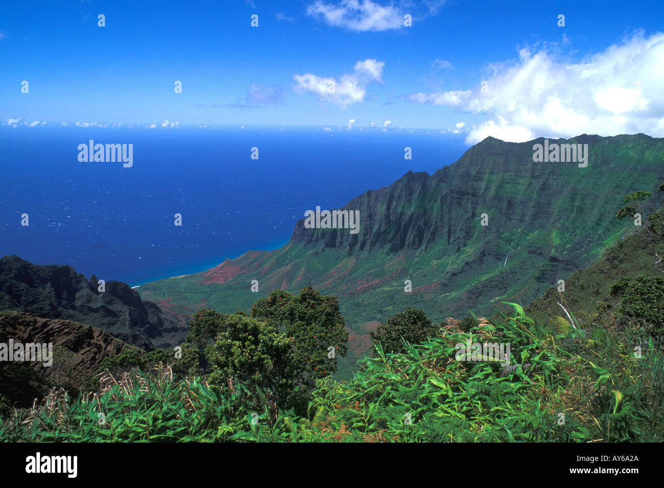 Kokee State Park Honopu Valley Kauai Hawaii Stock Photo Alamy
