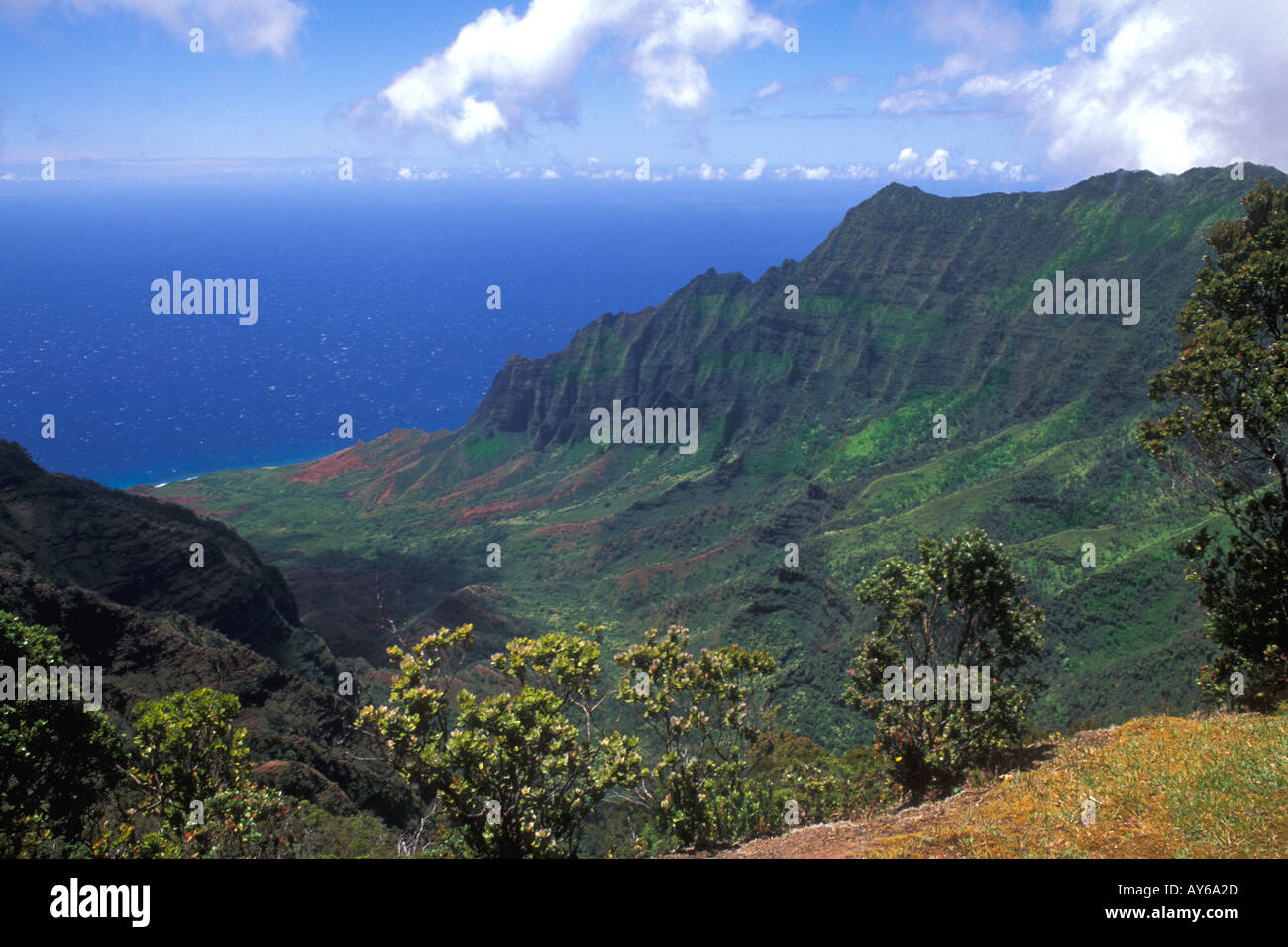 Kokee State Park Honopu Valley Kauai Hawaii Stock Photo Alamy