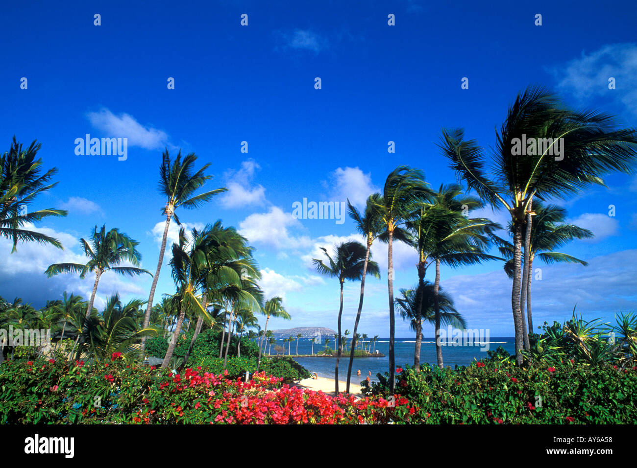 Kahala Beach Hawaii Stock Photo Alamy