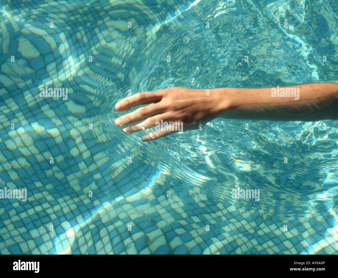 Woman in the swimming pool Stock Photo