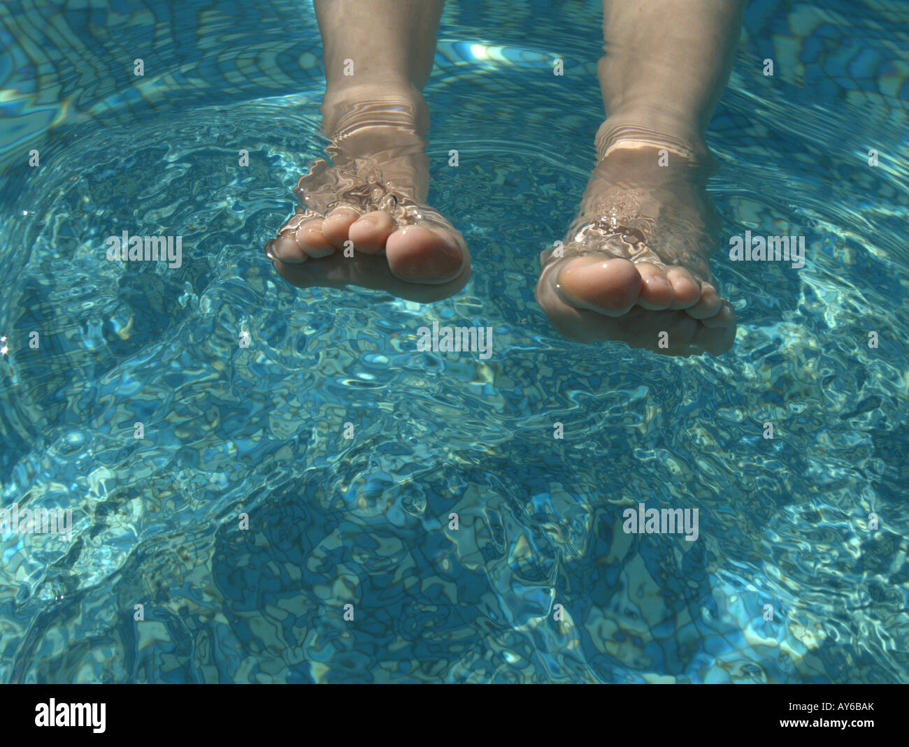 Woman in the swimming pool Stock Photo - Alamy
