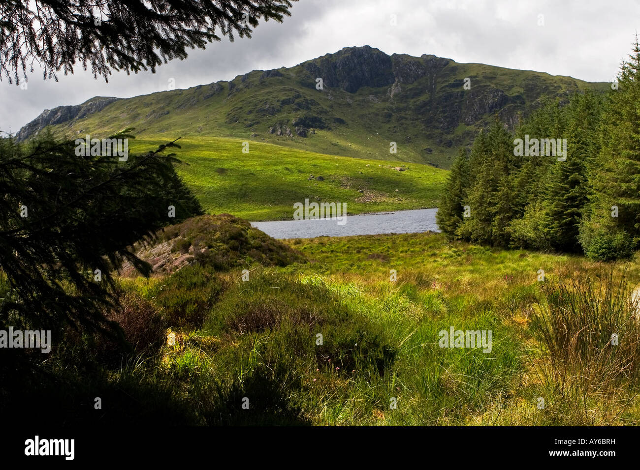 Remote Lake Llynau Diwaunedd, part of small scale hydro electic power sceme, Snowdonia, North Wales Stock Photo