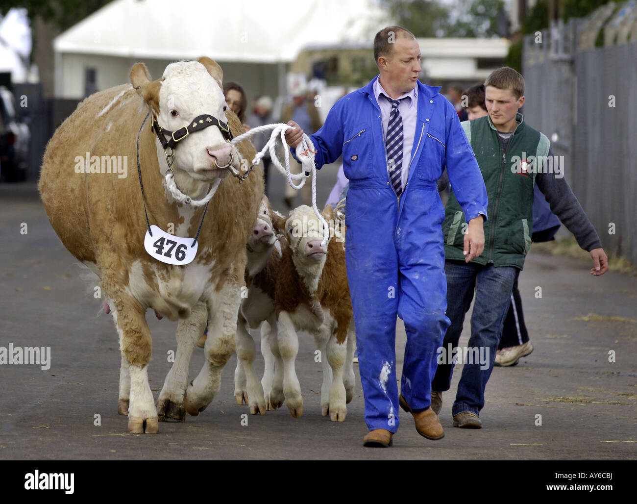 royal highland show edinburgh Stock Photo Alamy
