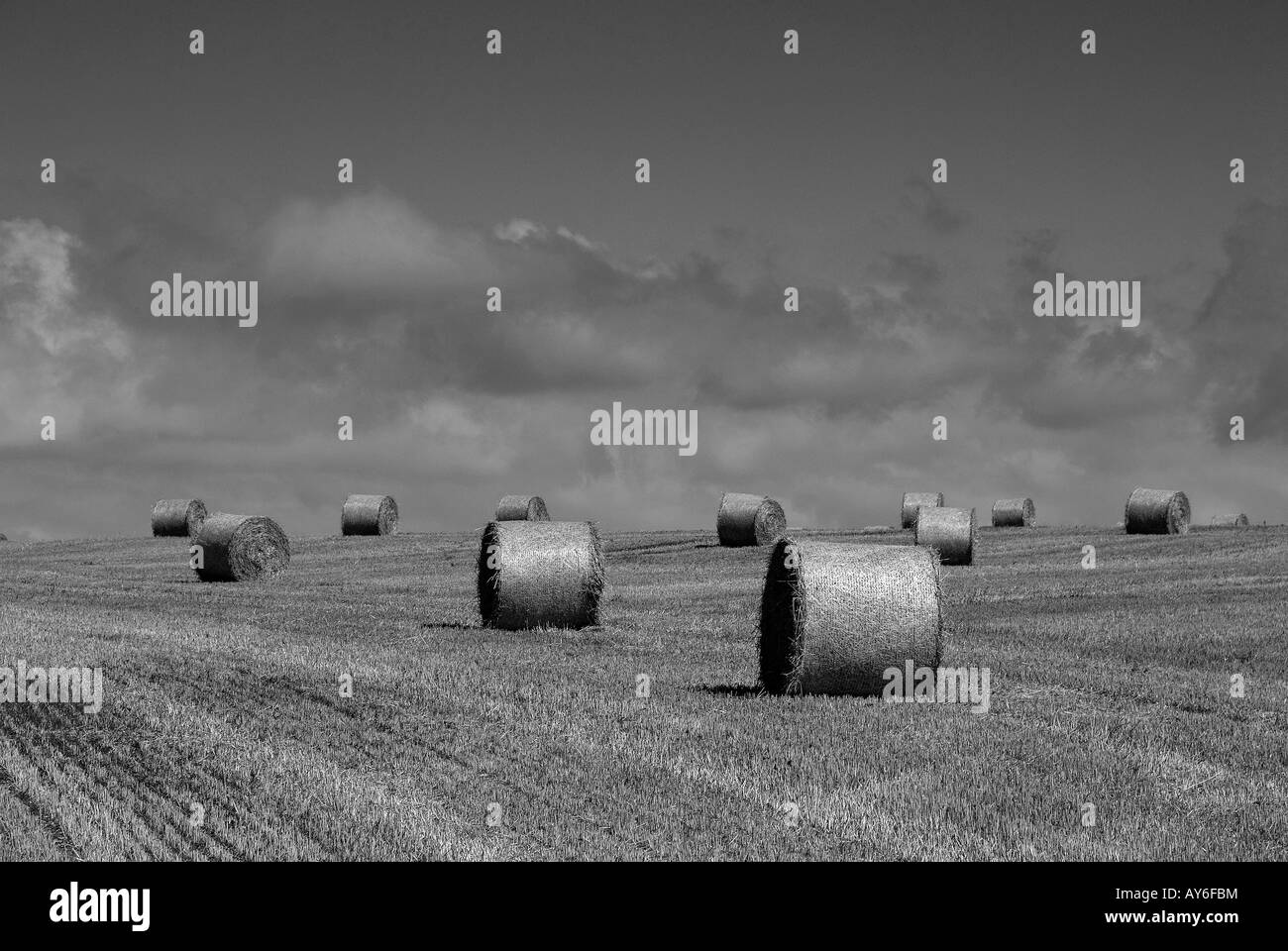 South Gower, Hay bails in a field in South Wales. Summer Time. Stock Photo