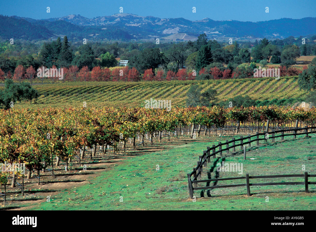 Alexander Valley vineyards wine growing region in Northern California