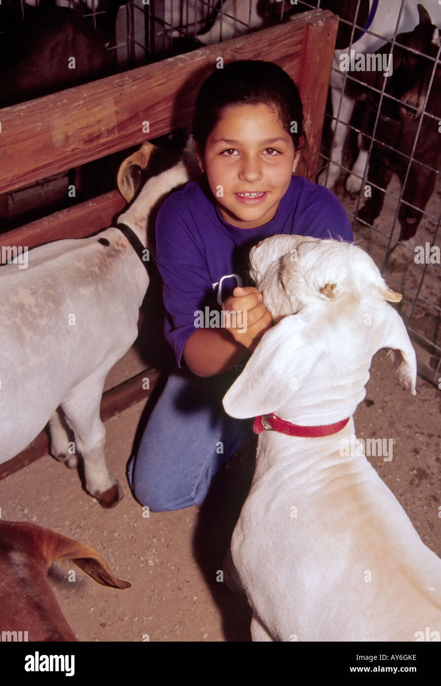 She goats hires stock photography and images Alamy