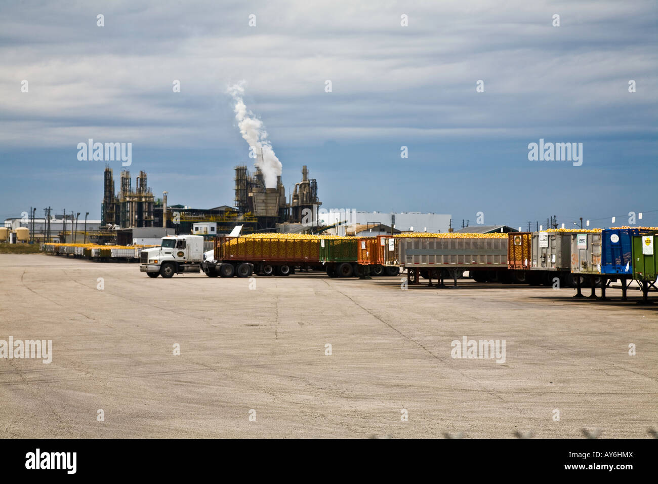 Orange Juice Factory Stock Photos & Orange Juice Factory Stock Images