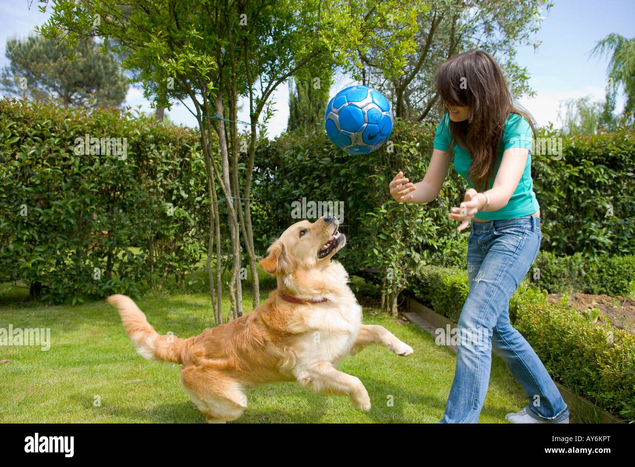 dog playing with ball
