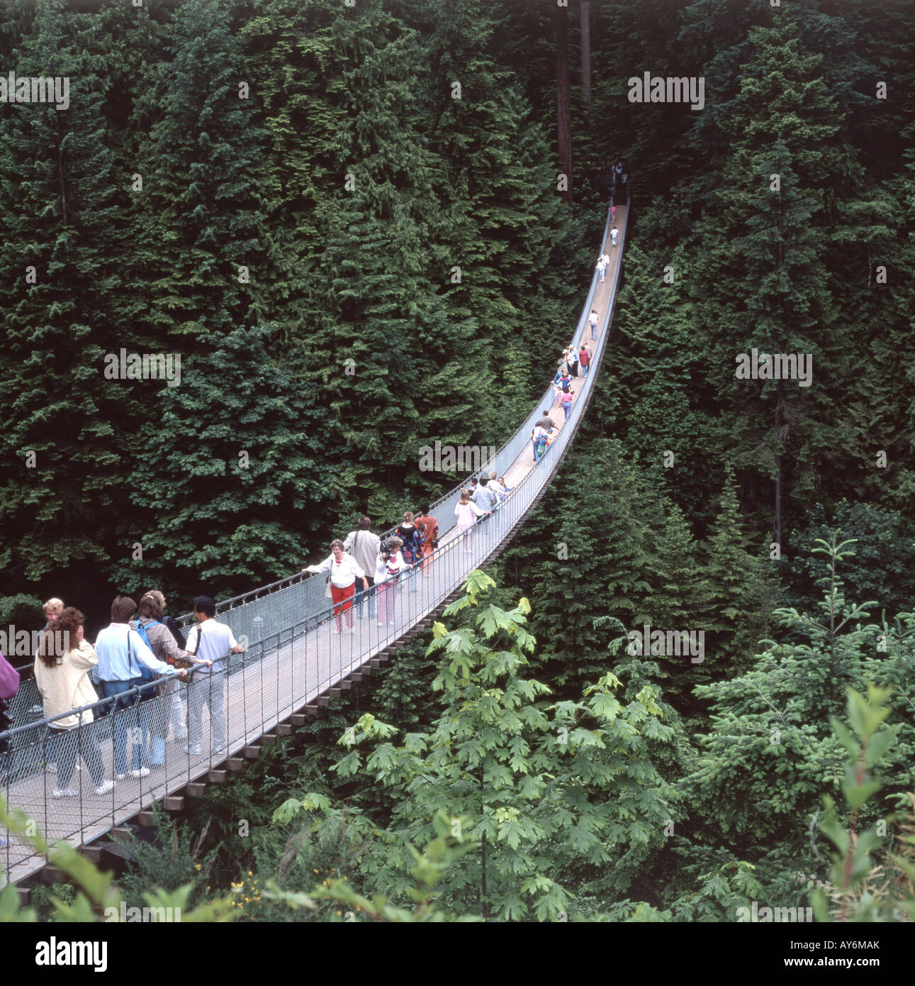 Capilano Suspension Bridge, Vancouver, British Columbia, Canada Stock