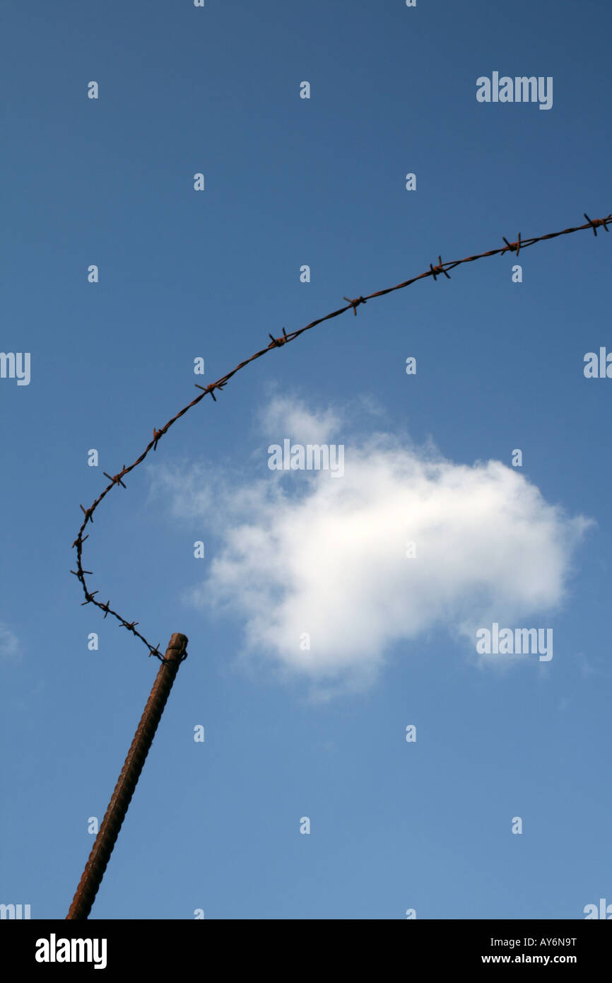 old rusted barbed wire fence in countryside Stock Photo - Alamy
