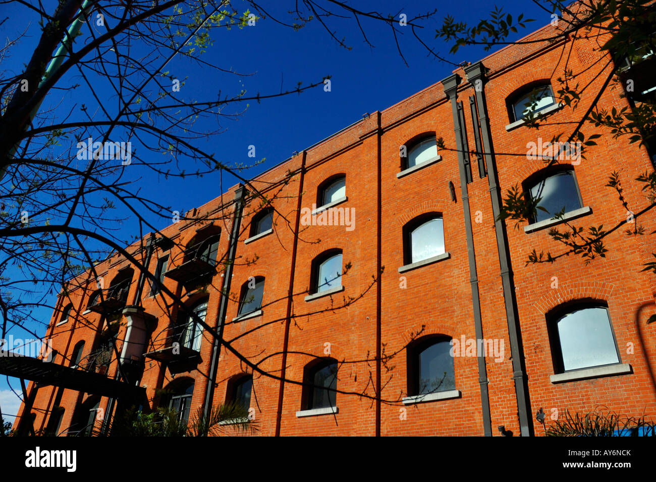 Old Storage Buildings recycled in Puerto Madero, City of Buenos Aires