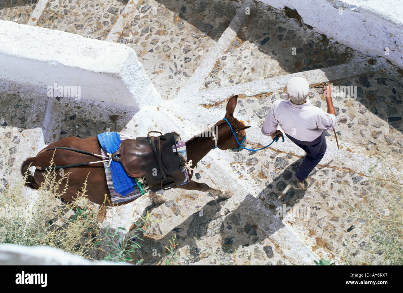 Man leading donkey down path in Greece Stock Photo