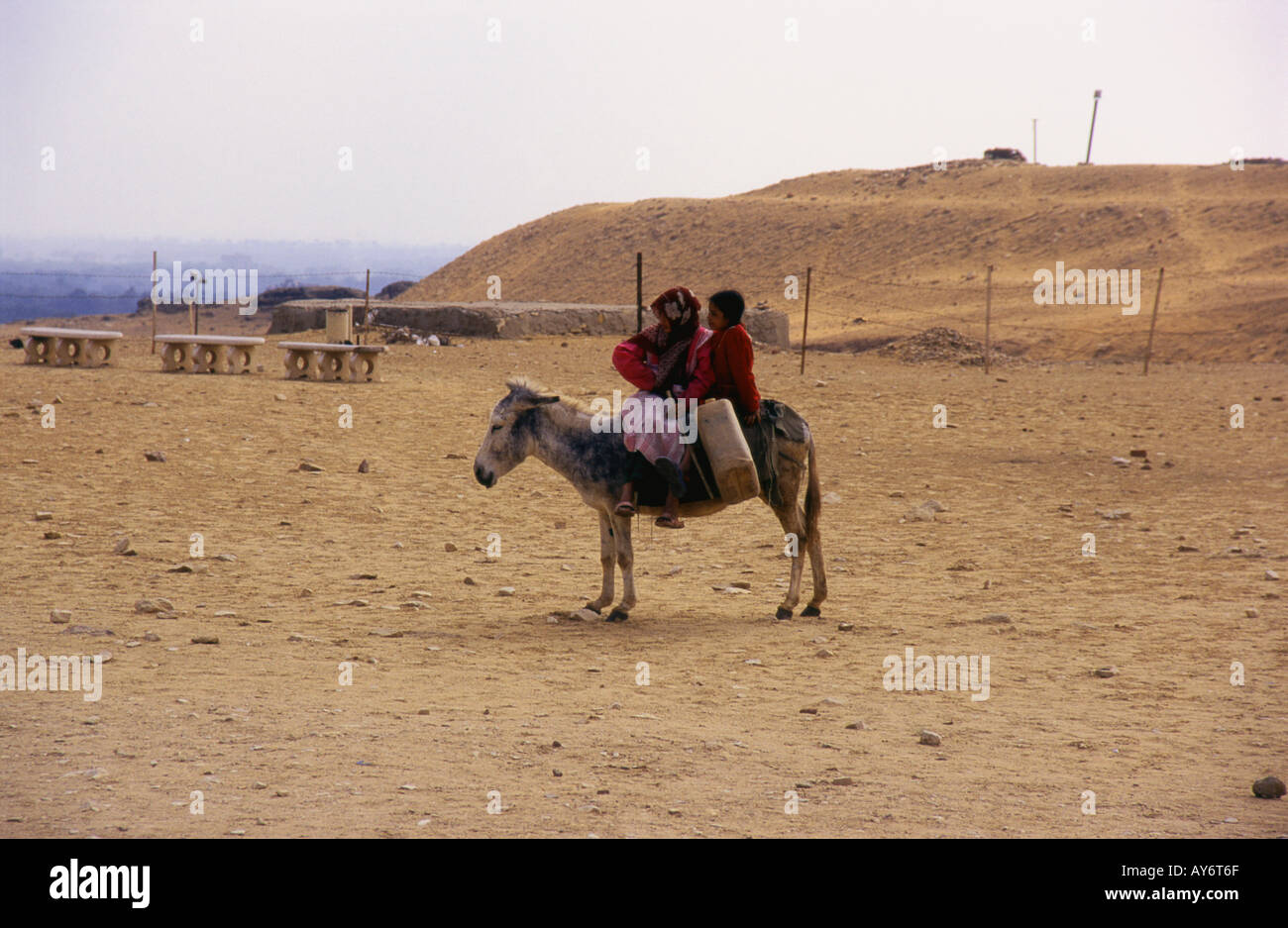 Children on Donkey Pyramid Field at Sakkara Saqqara Saqqarah Cairo Arab ...